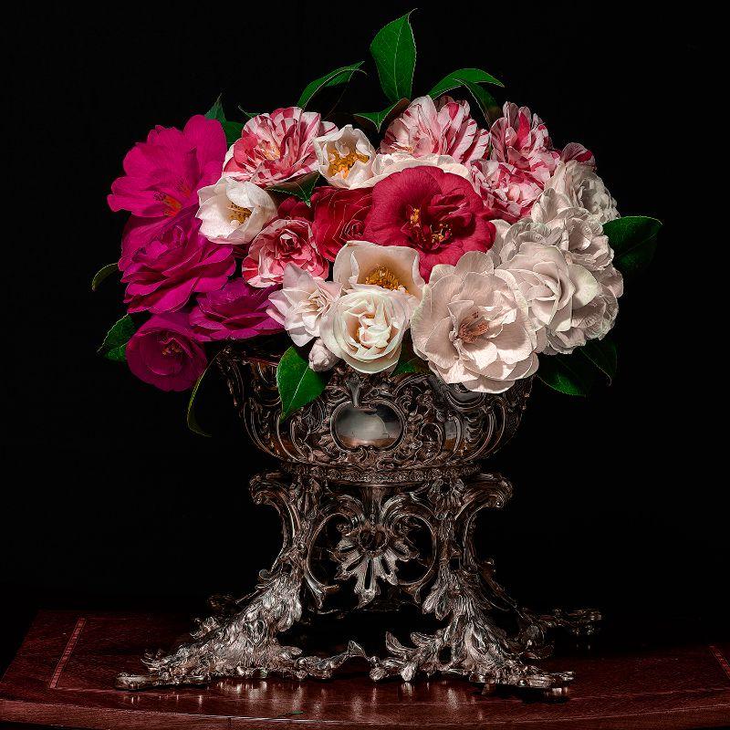 Camellias in a Silver Punch Bowl - Photograph by T.M. Glass