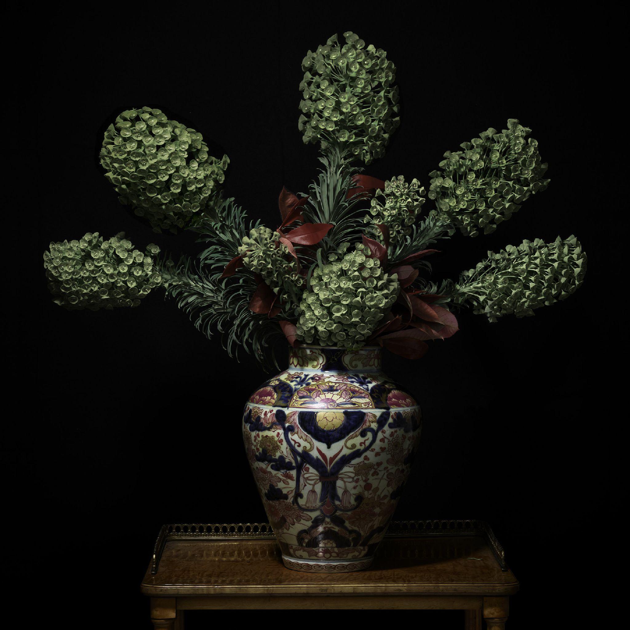 Euphorbia in un vaso Imari giapponese - Photograph di T.M. Glass