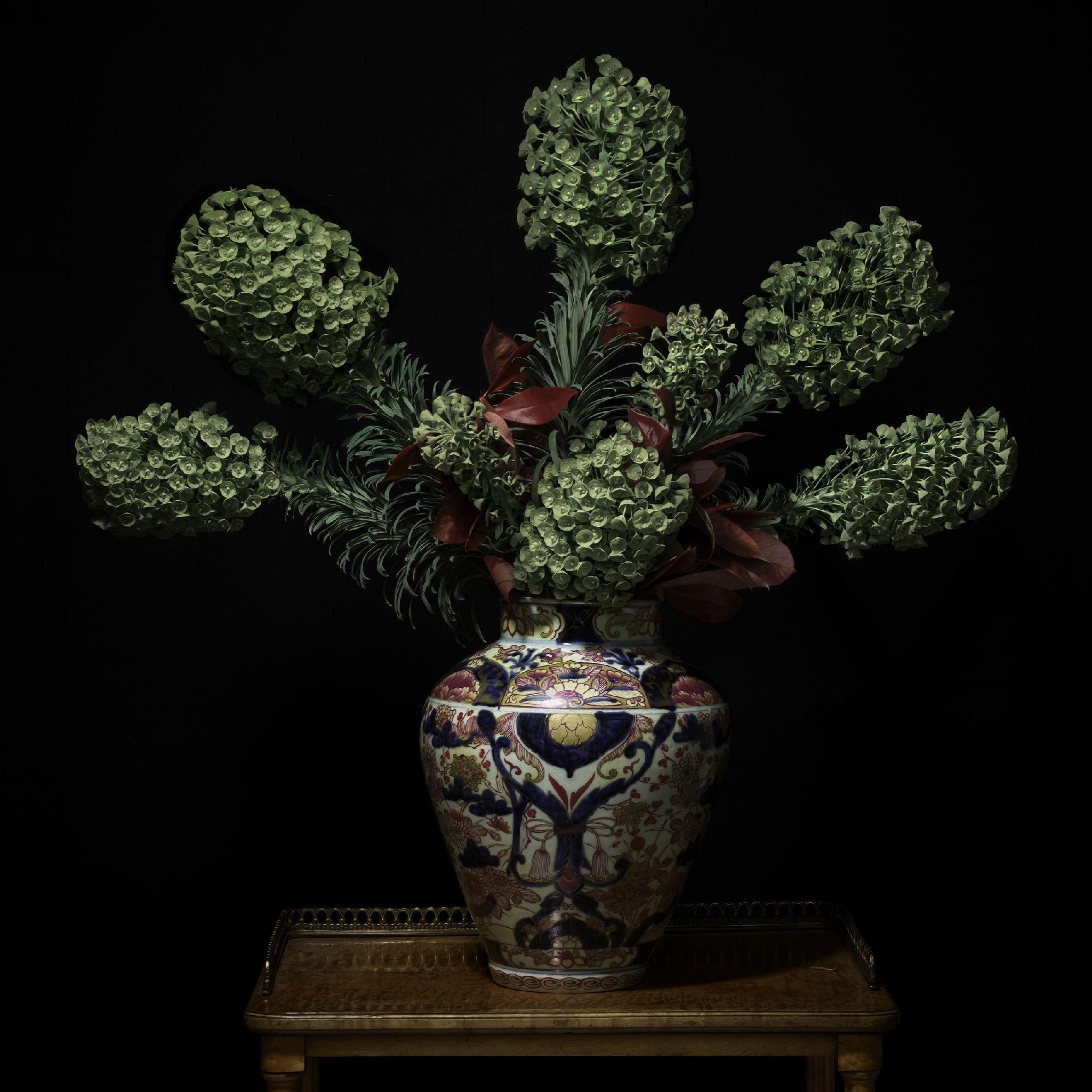 Euphorbia dans un récipient japonais en Imari - Photograph de T.M. Glass