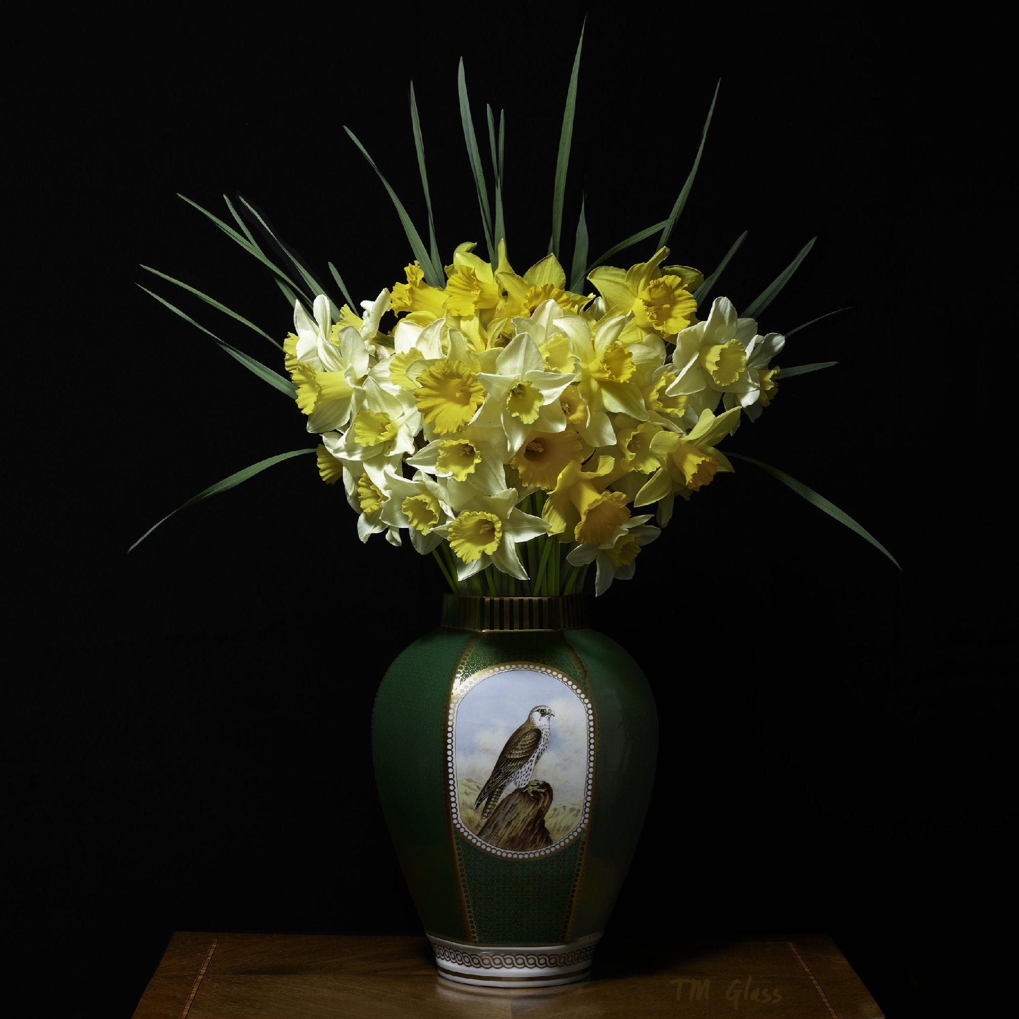 Narcisse dans un vase en Falcon vert - Photograph de T.M. Glass