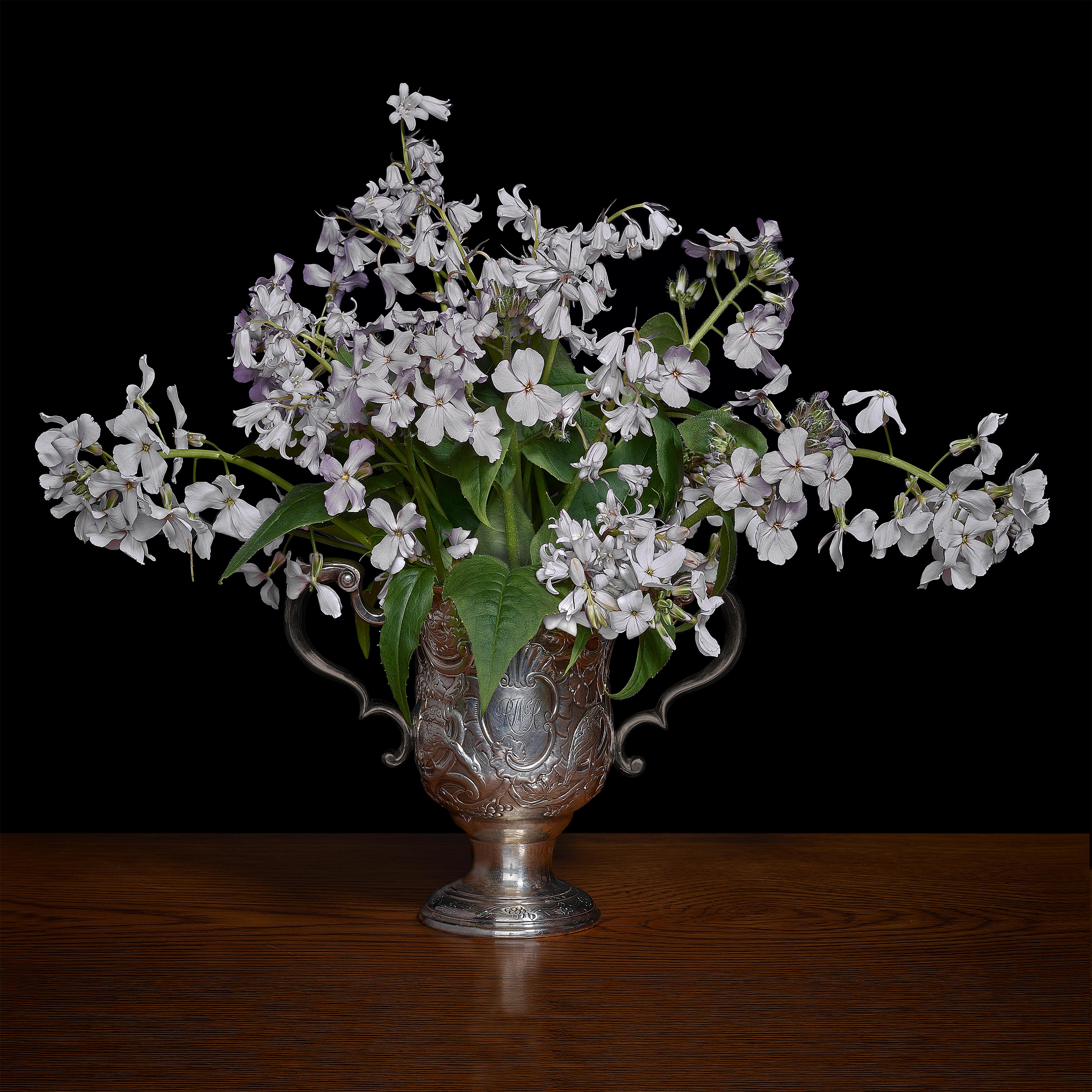 T.M. Glass Color Photograph - Woodland Scilla and Phlox in a Silver Cup