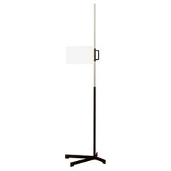 Lampada da terra TMC di Miguel Milá per Santa & Cole