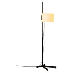TMC Floor Lamp