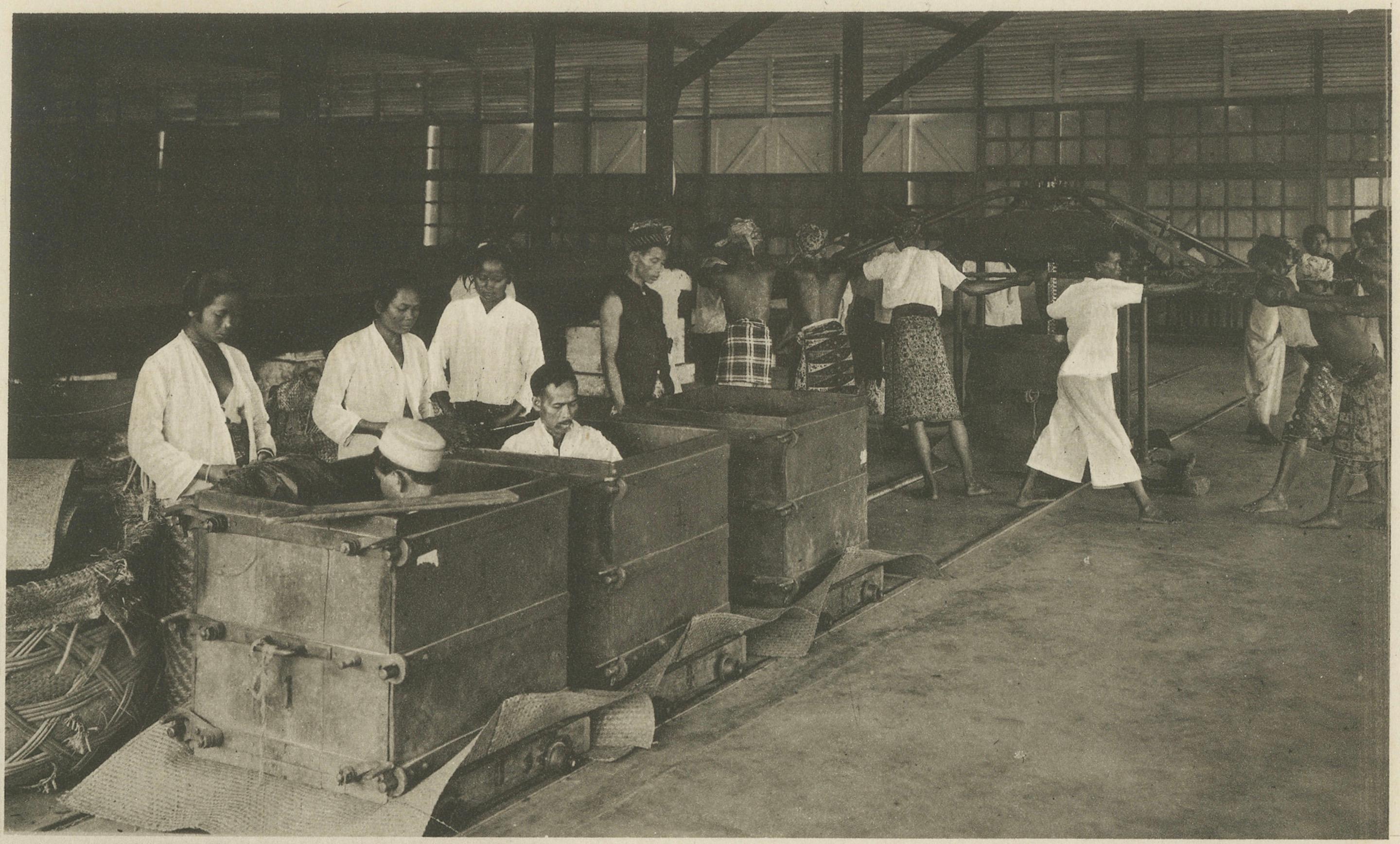 XX secolo Fermentazione e confezionamento del tabacco - Deli, Sumatra, Kleingrothe, c.C. in vendita