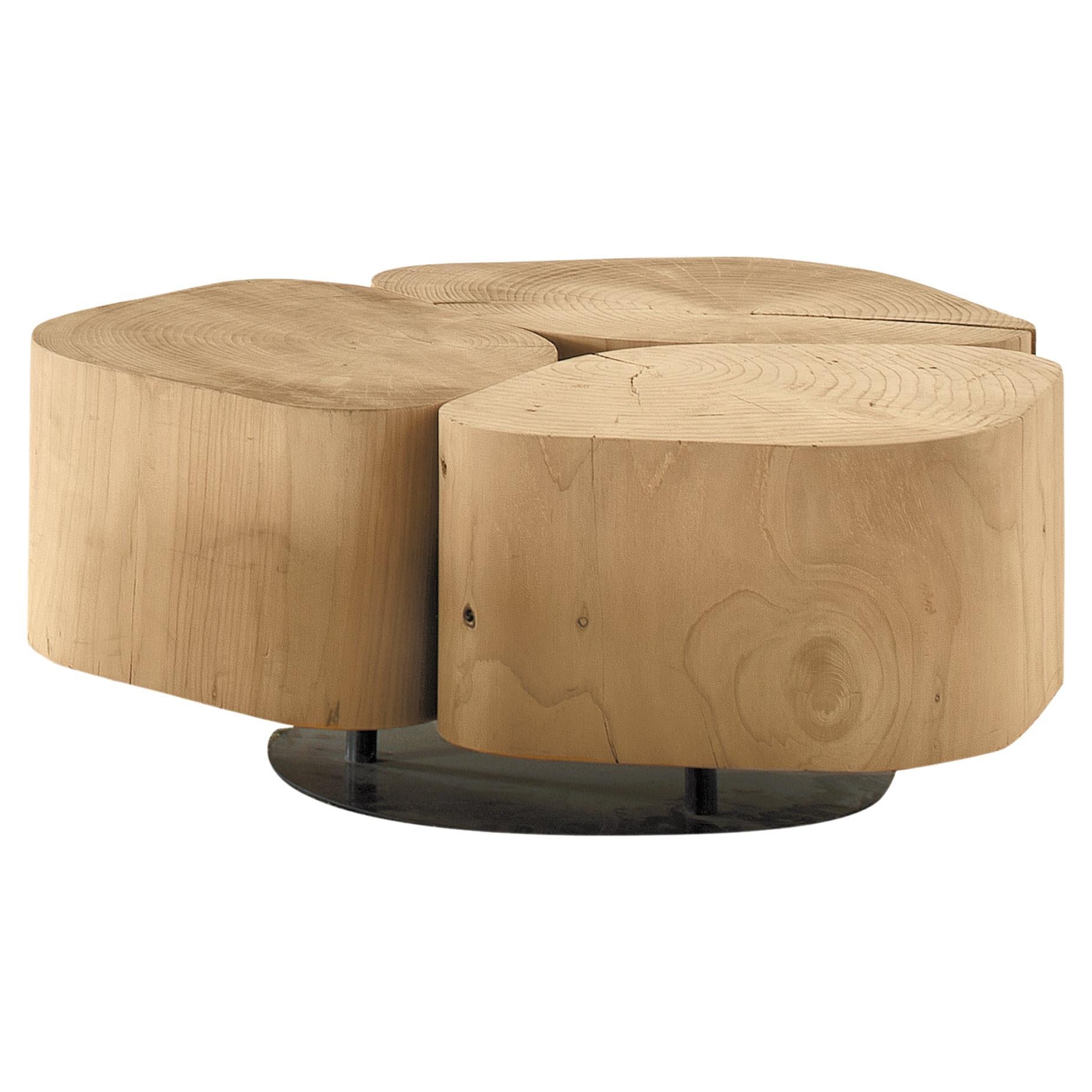 Tobi Coffee Tables Terry Dwan Contemporary Natural Cedar Made in Italy Riva1920