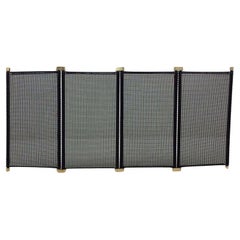 Tobia & Afra Scarpa Adjustable Fireplace Screen, circa 1970, Italy