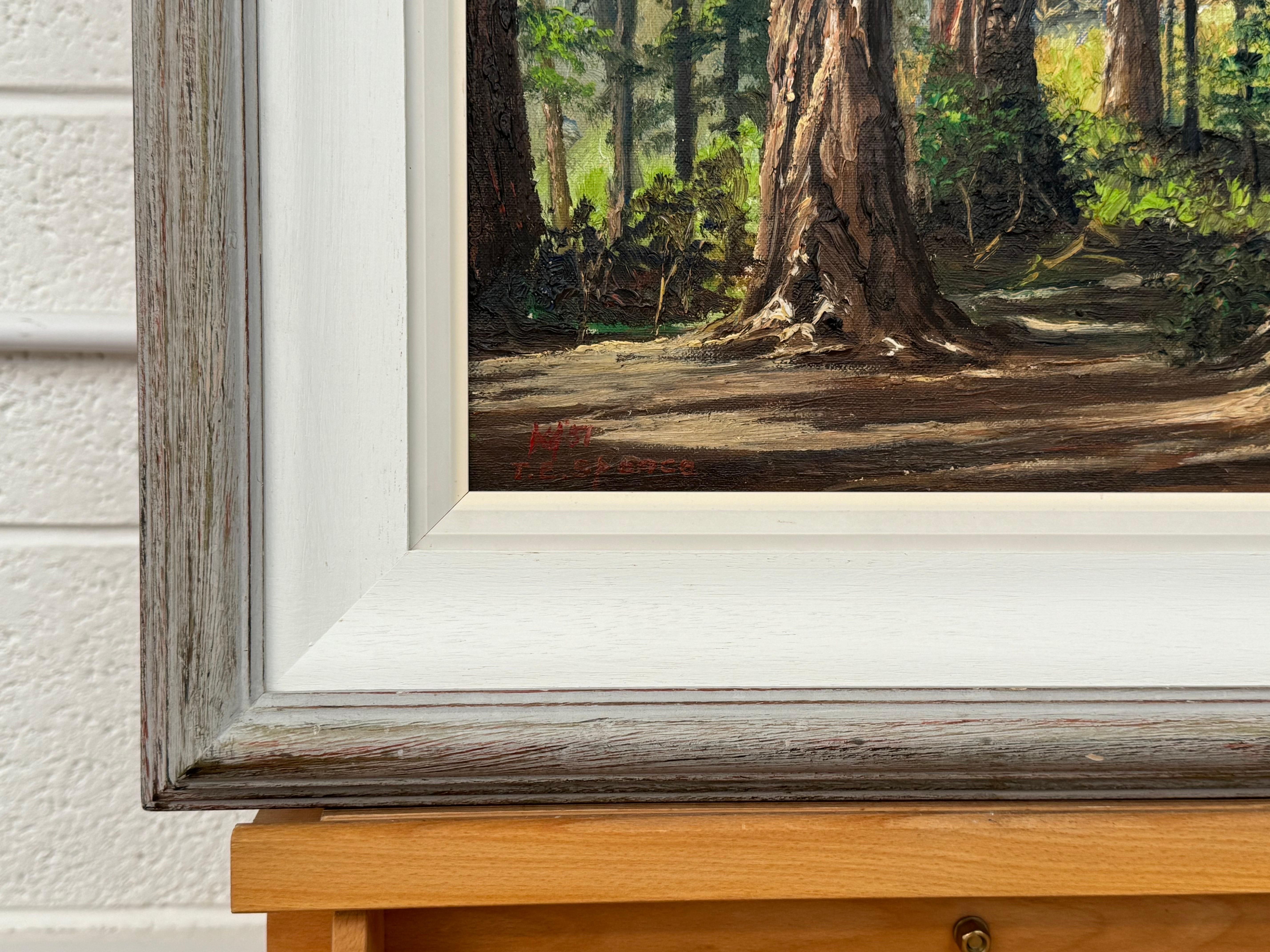 Art of Vintage Paesaggio ad olio della foresta di Redwood in California di un artista del XX secolo in vendita 7
