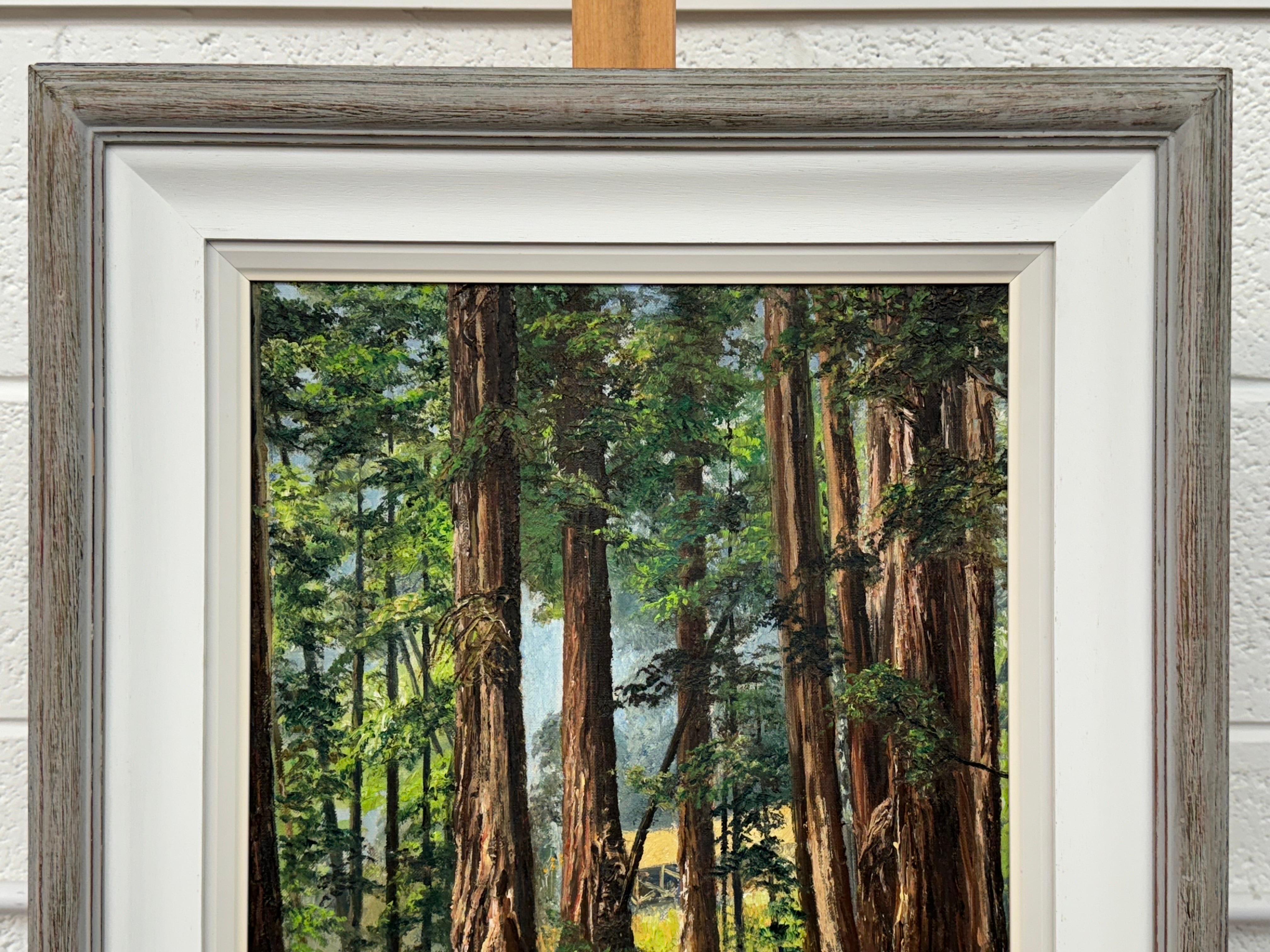 Art of Vintage Paesaggio ad olio della foresta di Redwood in California di un artista del XX secolo in vendita 8
