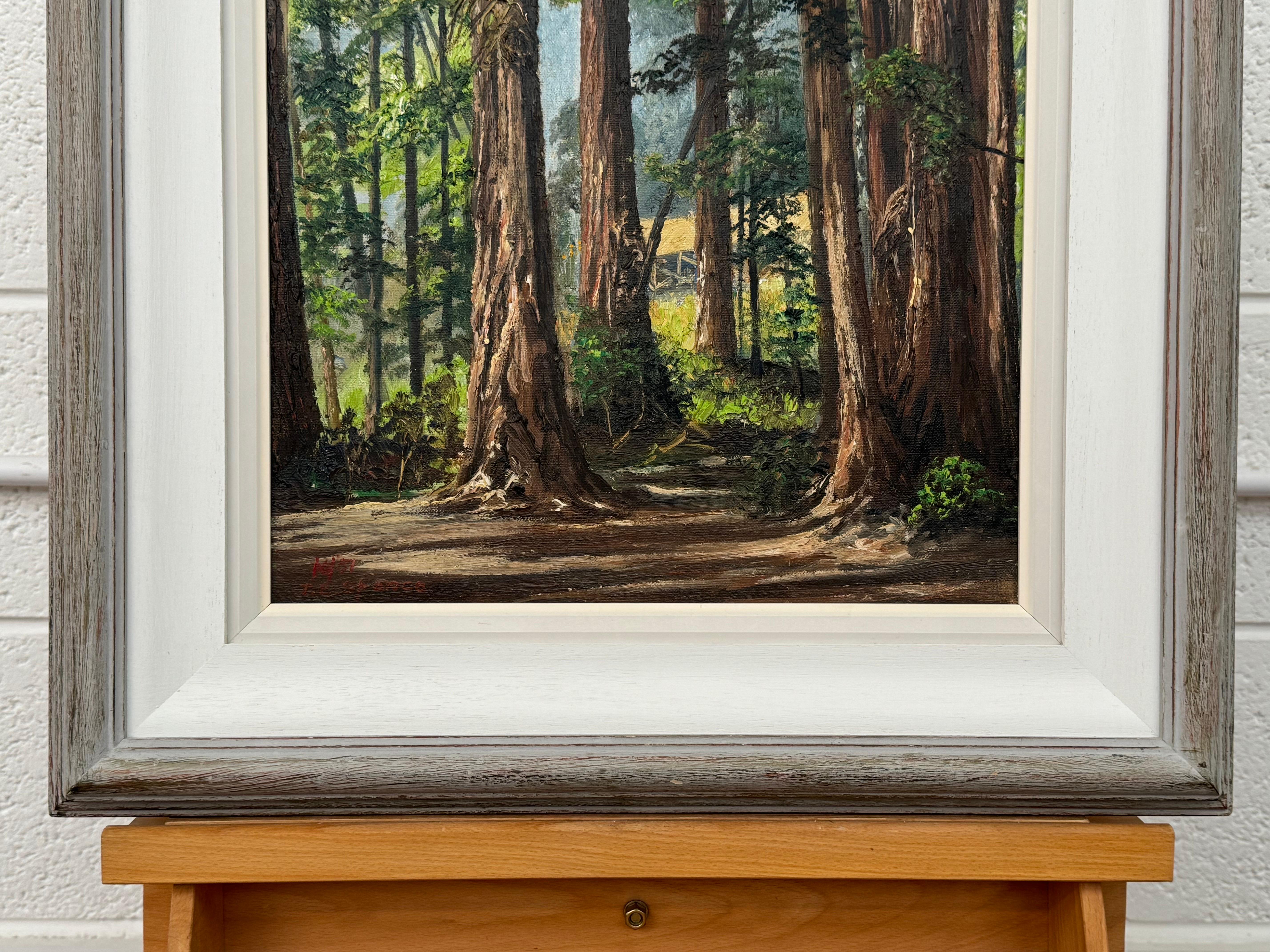 Art of Vintage Paesaggio ad olio della foresta di Redwood in California di un artista del XX secolo in vendita 9