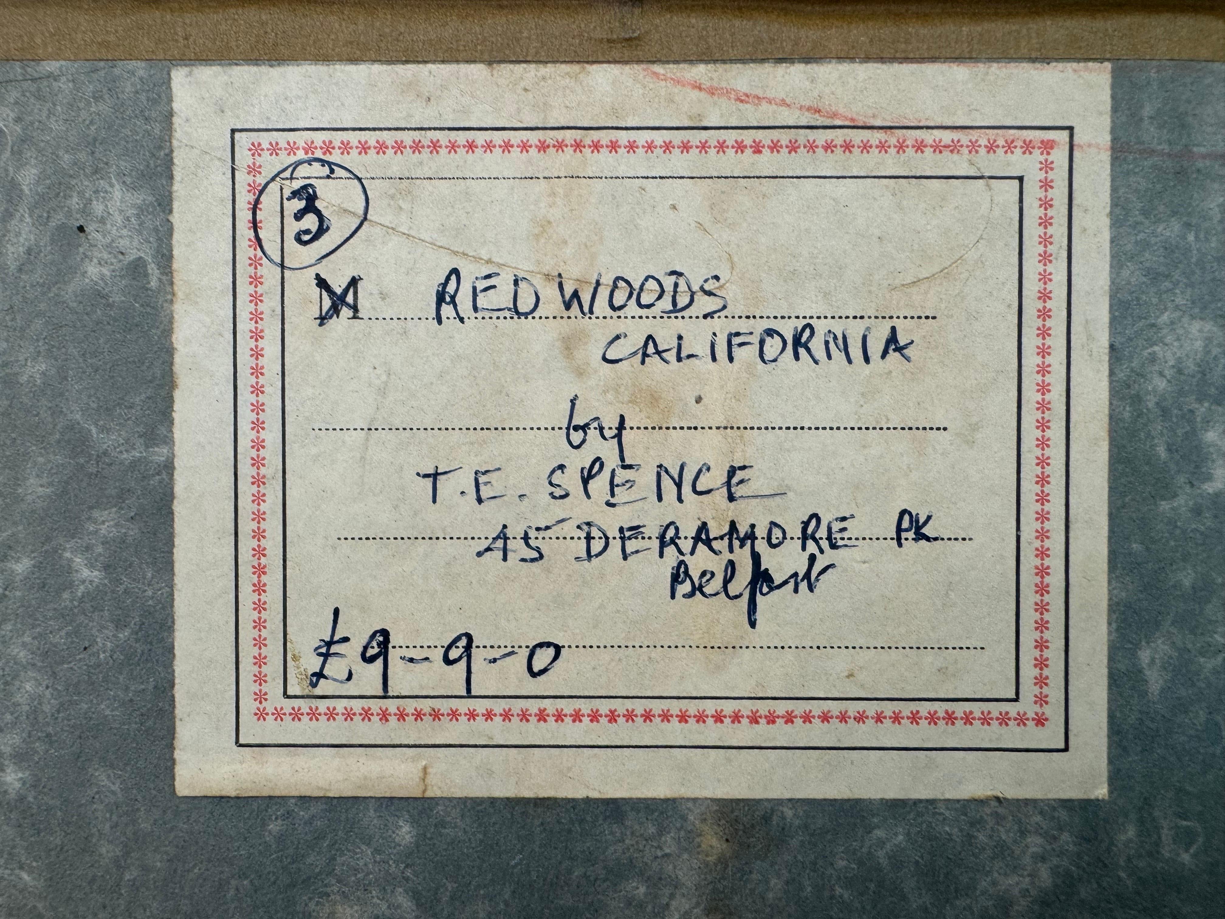 Art of Vintage Paesaggio ad olio della foresta di Redwood in California di un artista del XX secolo in vendita 11