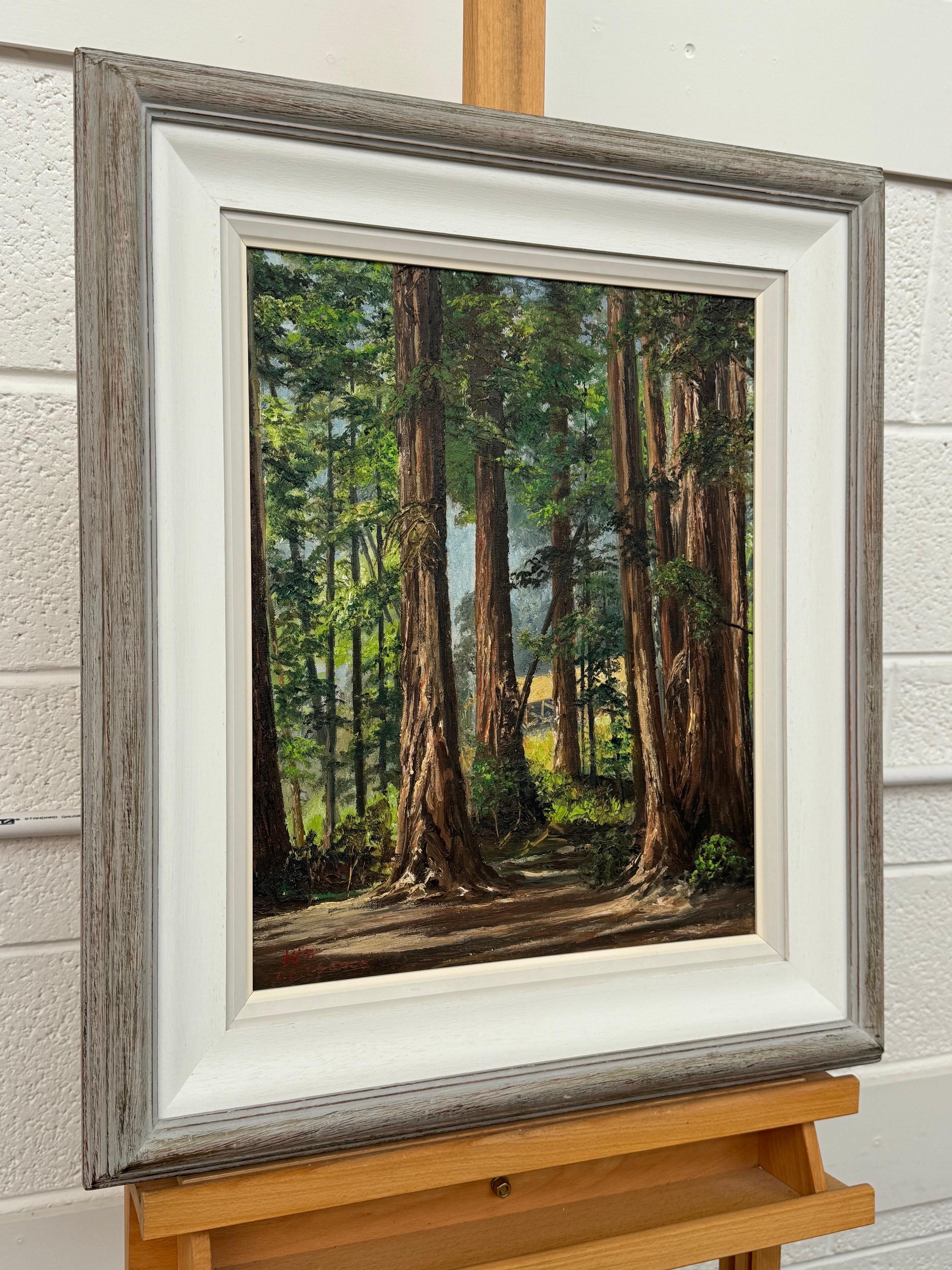 Art of Vintage Paesaggio ad olio della foresta di Redwood in California di un artista del XX secolo - Painting di Tobias Everet Spence