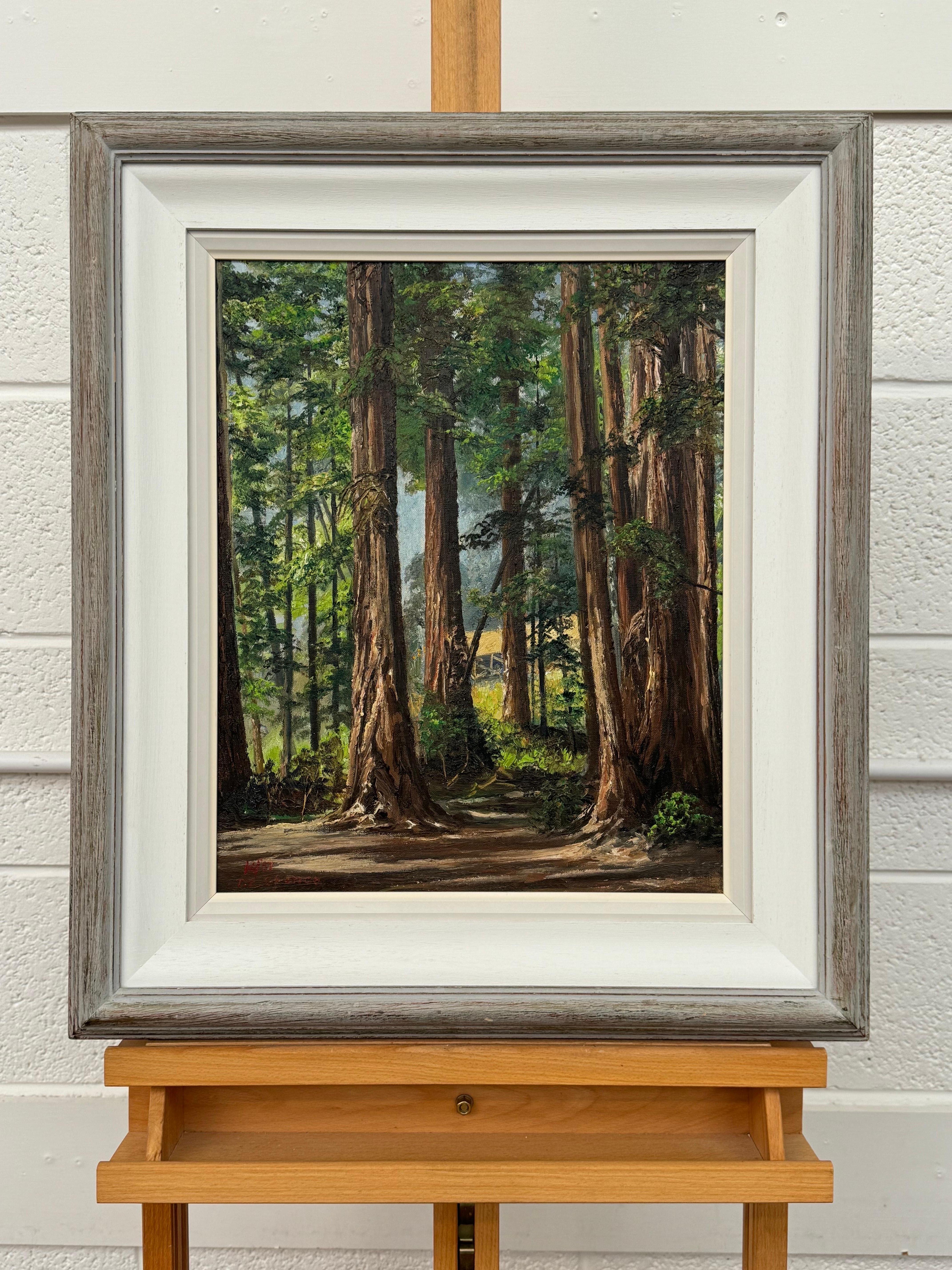 Art of Vintage Paesaggio ad olio della foresta di Redwood in California di un artista del XX secolo - Painting Moderno di Tobias Everet Spence