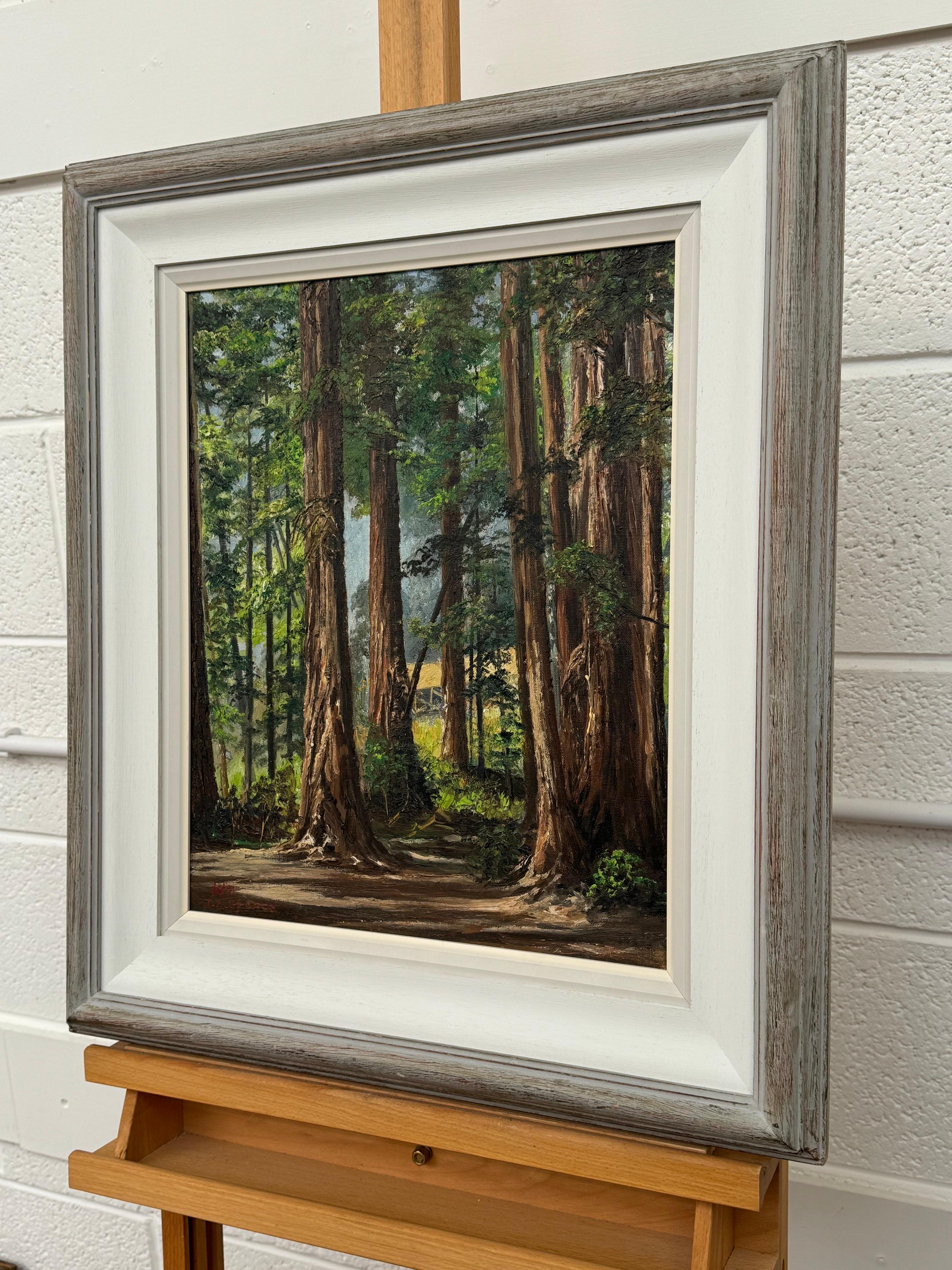 Art of Vintage Paesaggio ad olio della foresta di Redwood in California di un artista del XX secolo - Figurative Painting Marrone di Tobias Everet Spence