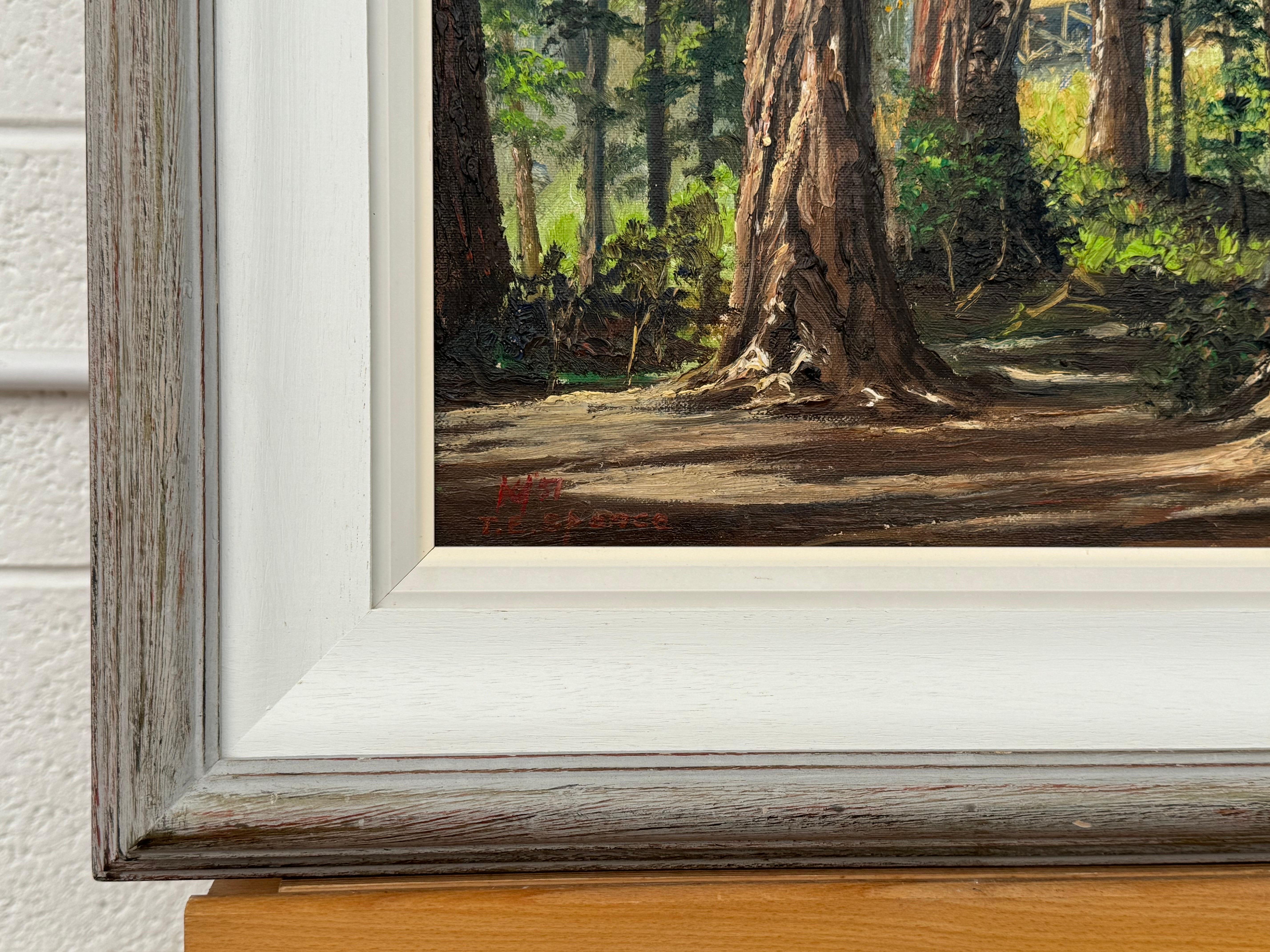 Art of Vintage Paesaggio ad olio della foresta di Redwood in California di un artista del XX secolo in vendita 1