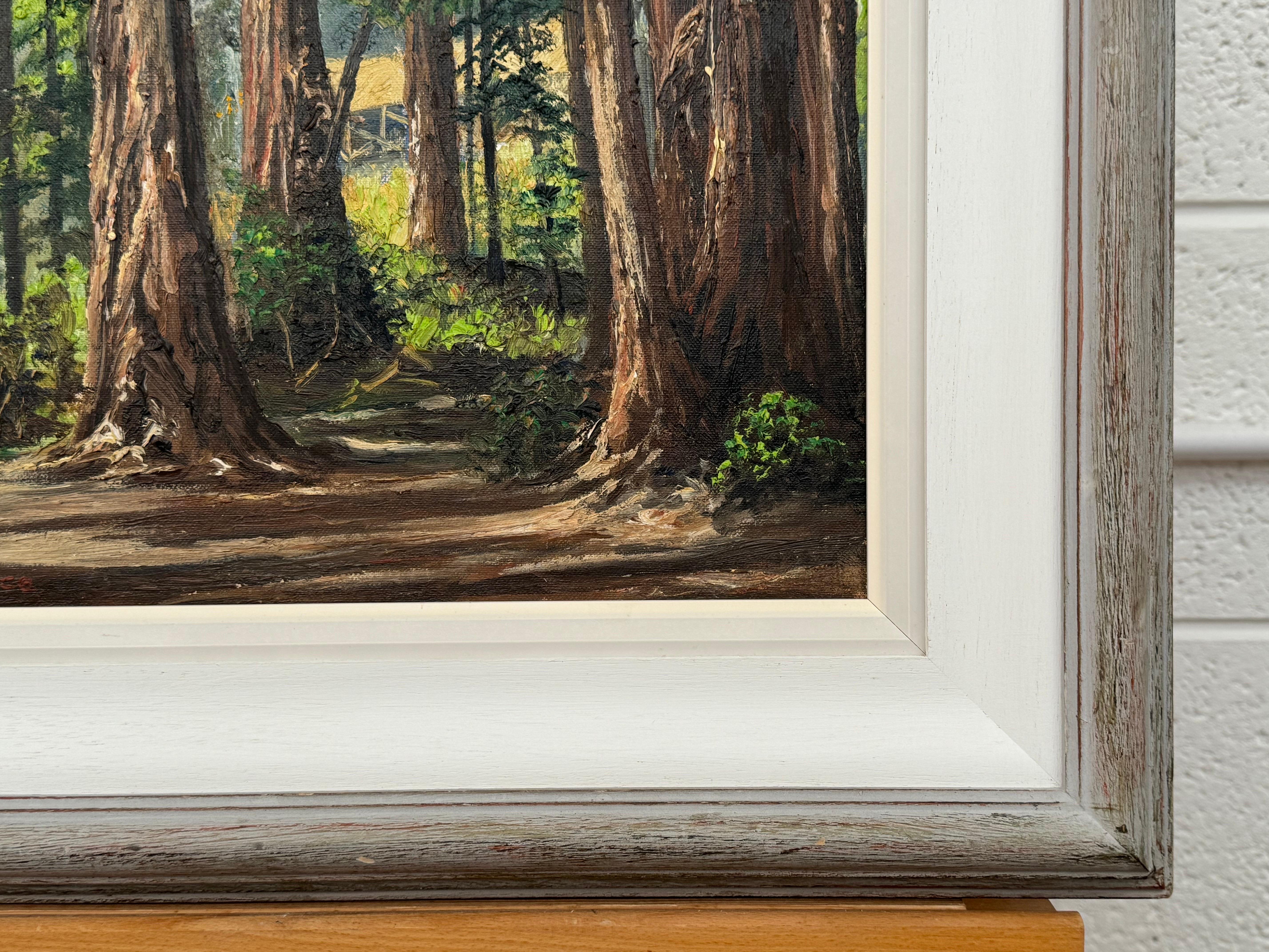 Art of Vintage Paesaggio ad olio della foresta di Redwood in California di un artista del XX secolo in vendita 2