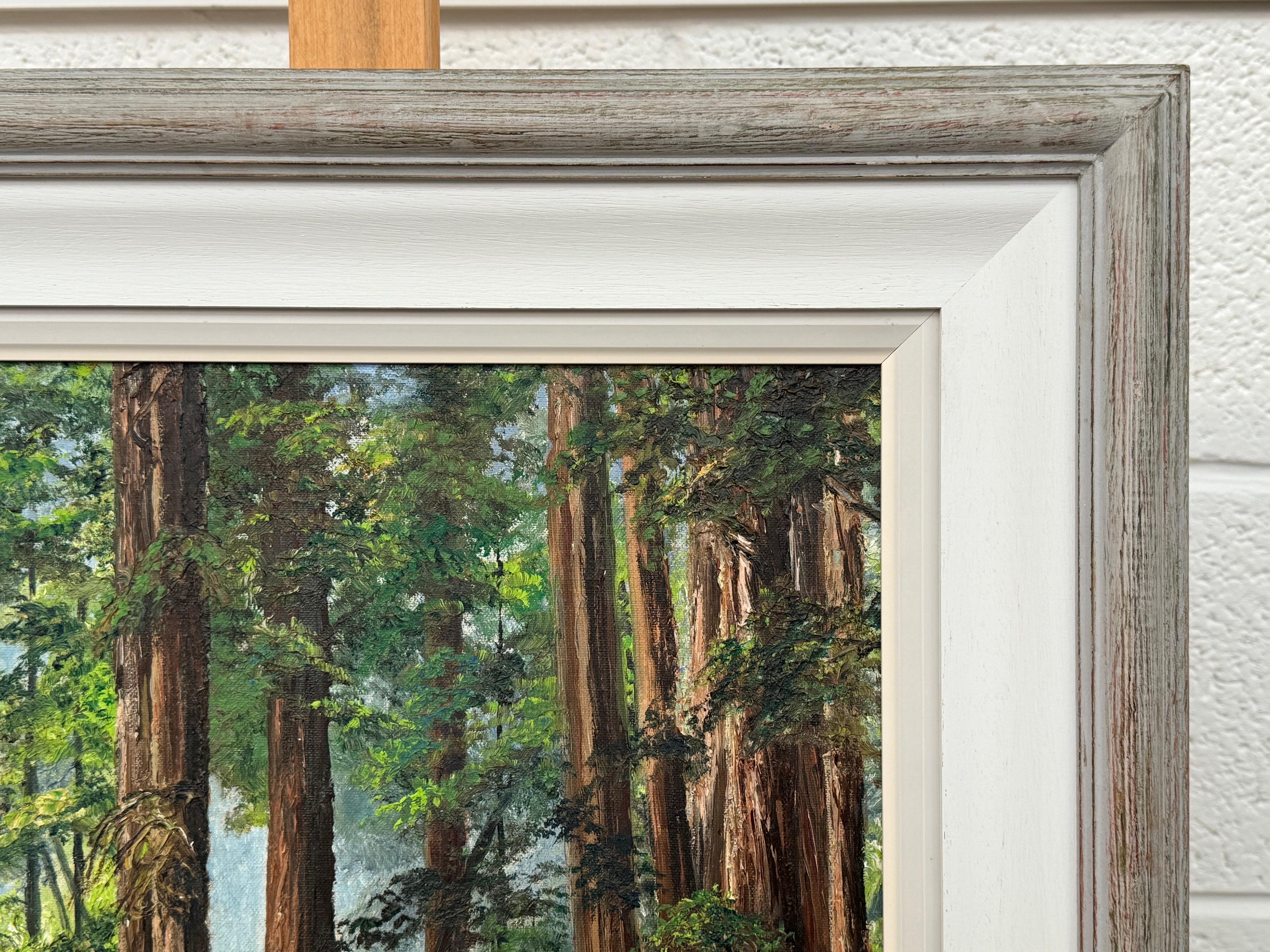 Art of Vintage Paesaggio ad olio della foresta di Redwood in California di un artista del XX secolo in vendita 3