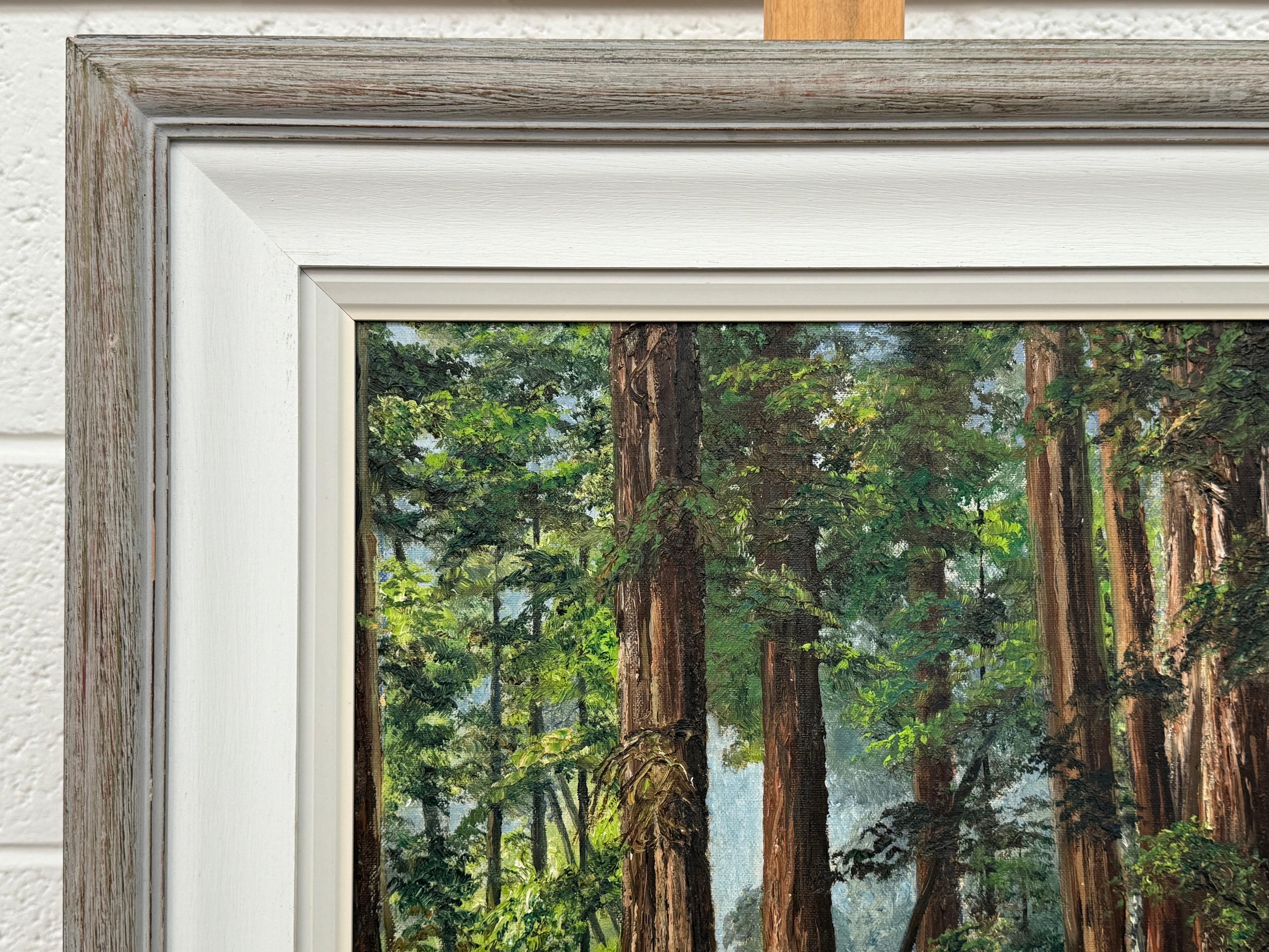 Art of Vintage Paesaggio ad olio della foresta di Redwood in California di un artista del XX secolo in vendita 4