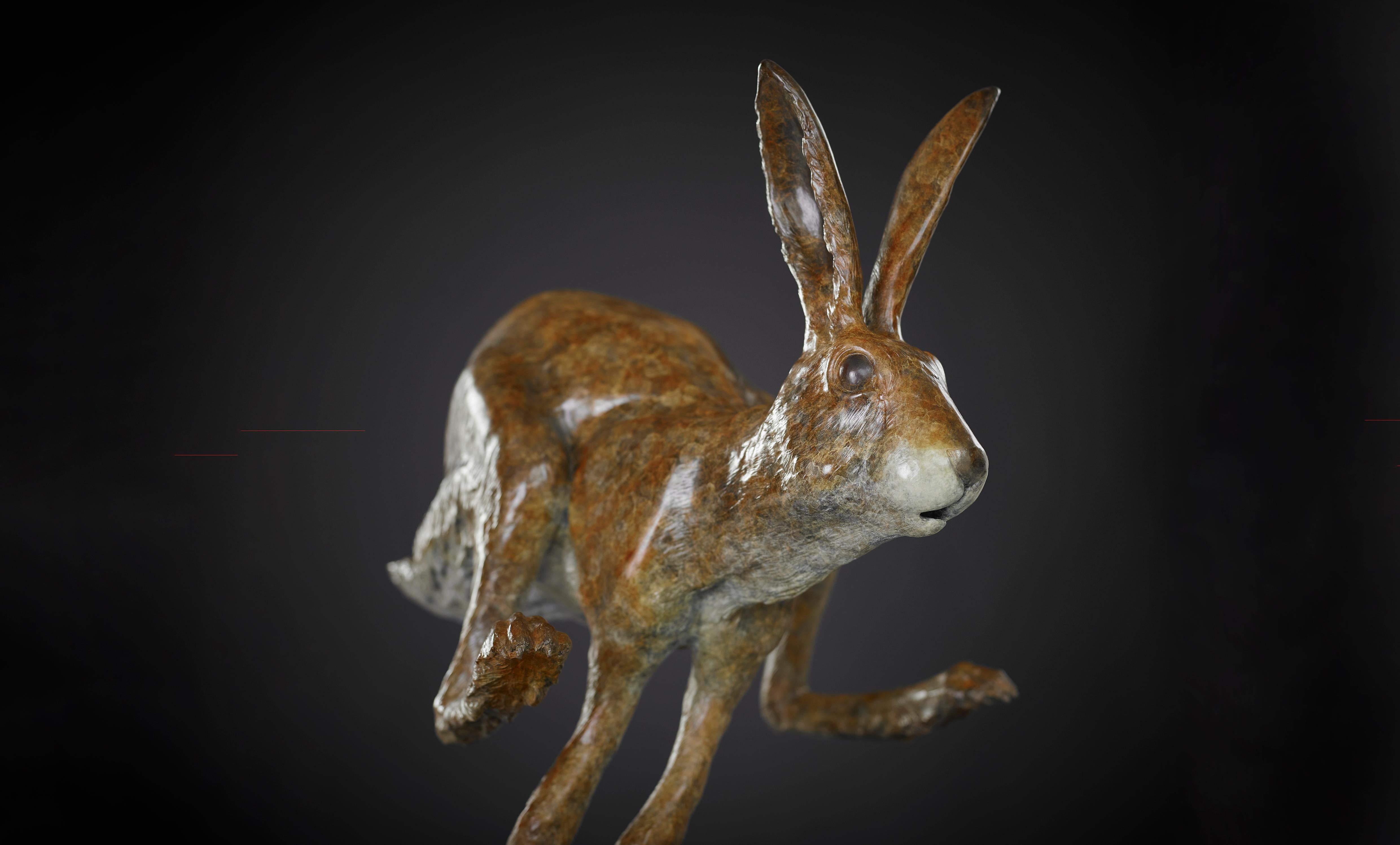 Scultura animale contemporanea in bronzo di una lepre 