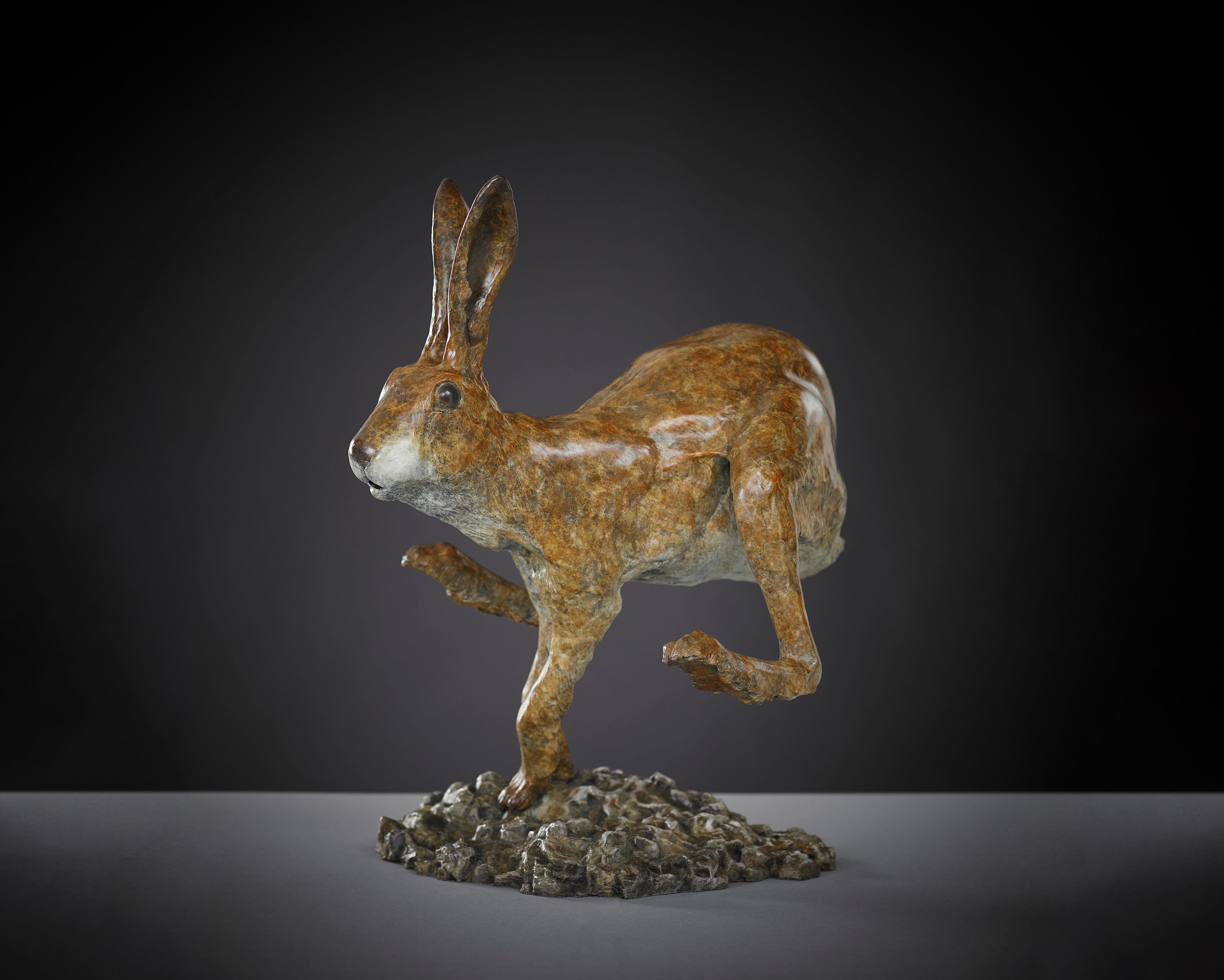 Contemporary Bronze Animal Sculpture of a Hare 'Jumping Jack' by Tobias Martin For Sale 1