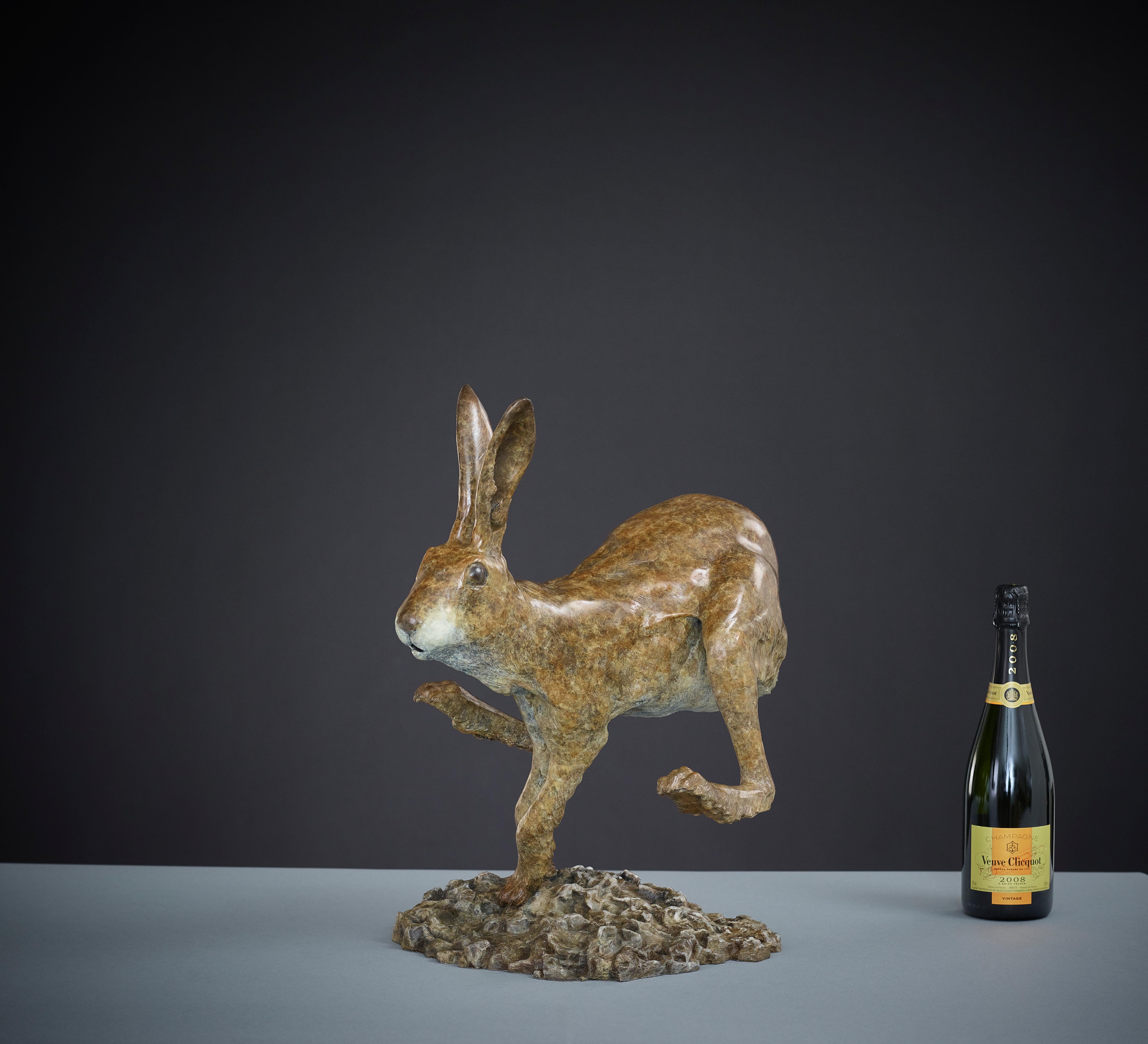 Contemporary Bronze Animal Sculpture of a Hare 'Jumping Jack' by Tobias Martin For Sale 3