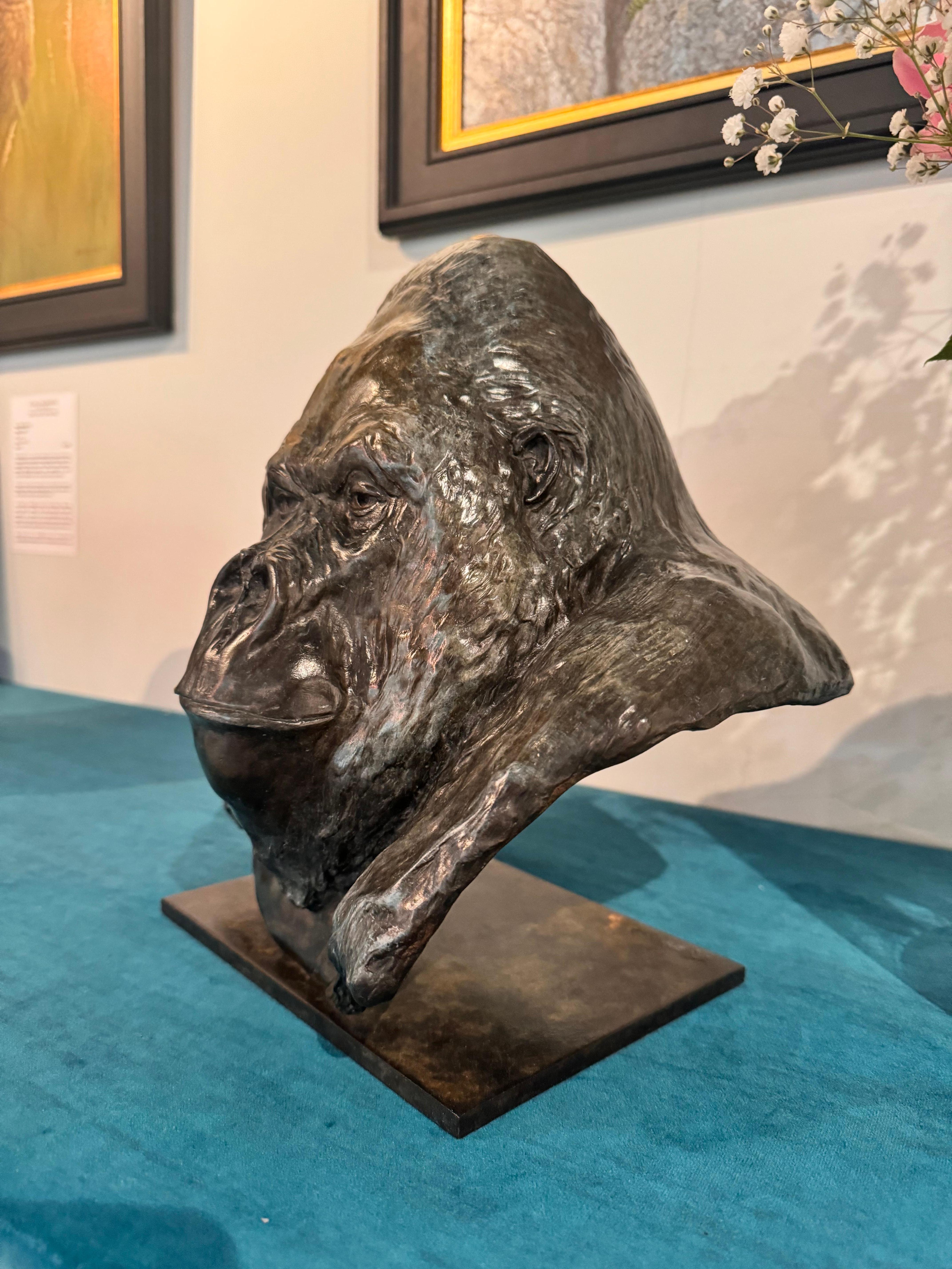 Zeitgenössische Gorilla-Skulptur aus Bronze Nico Jnr, Tier, Natur, Affe, schwarz im Angebot 8