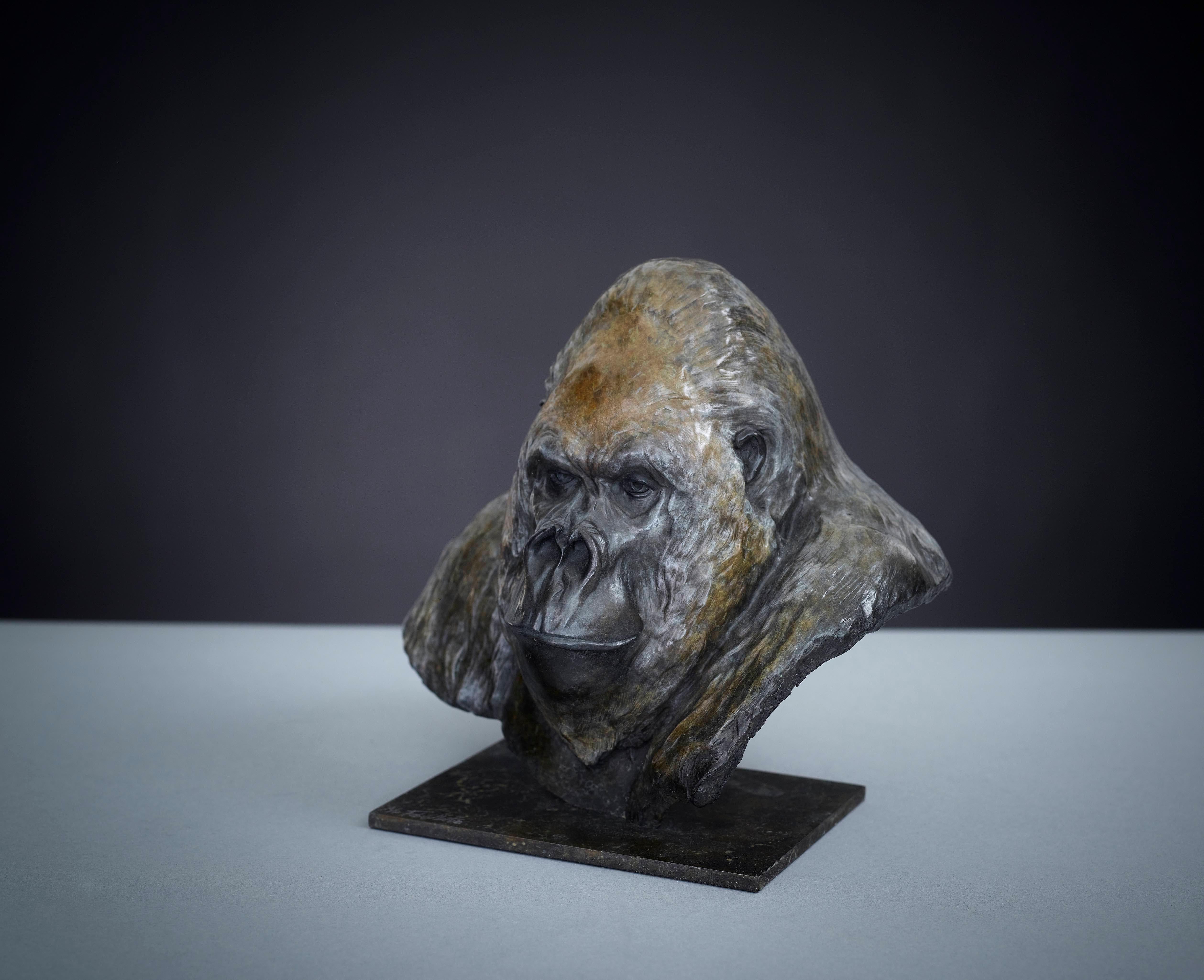 Auflage von 12 
Nico Jnr