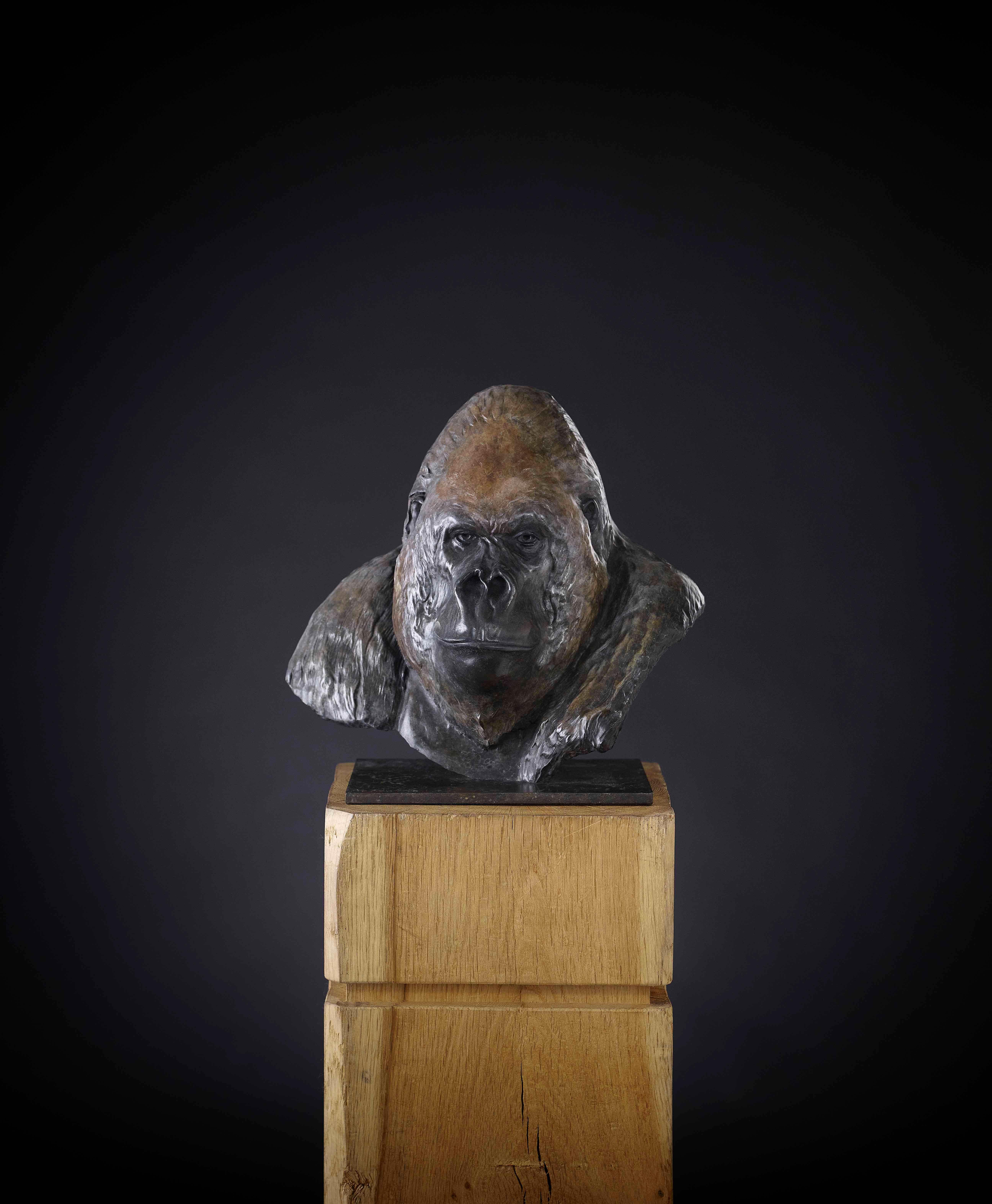 Zeitgenössische Gorilla-Skulptur aus Bronze Nico Jnr, Tier, Natur, Affe, schwarz im Angebot 1