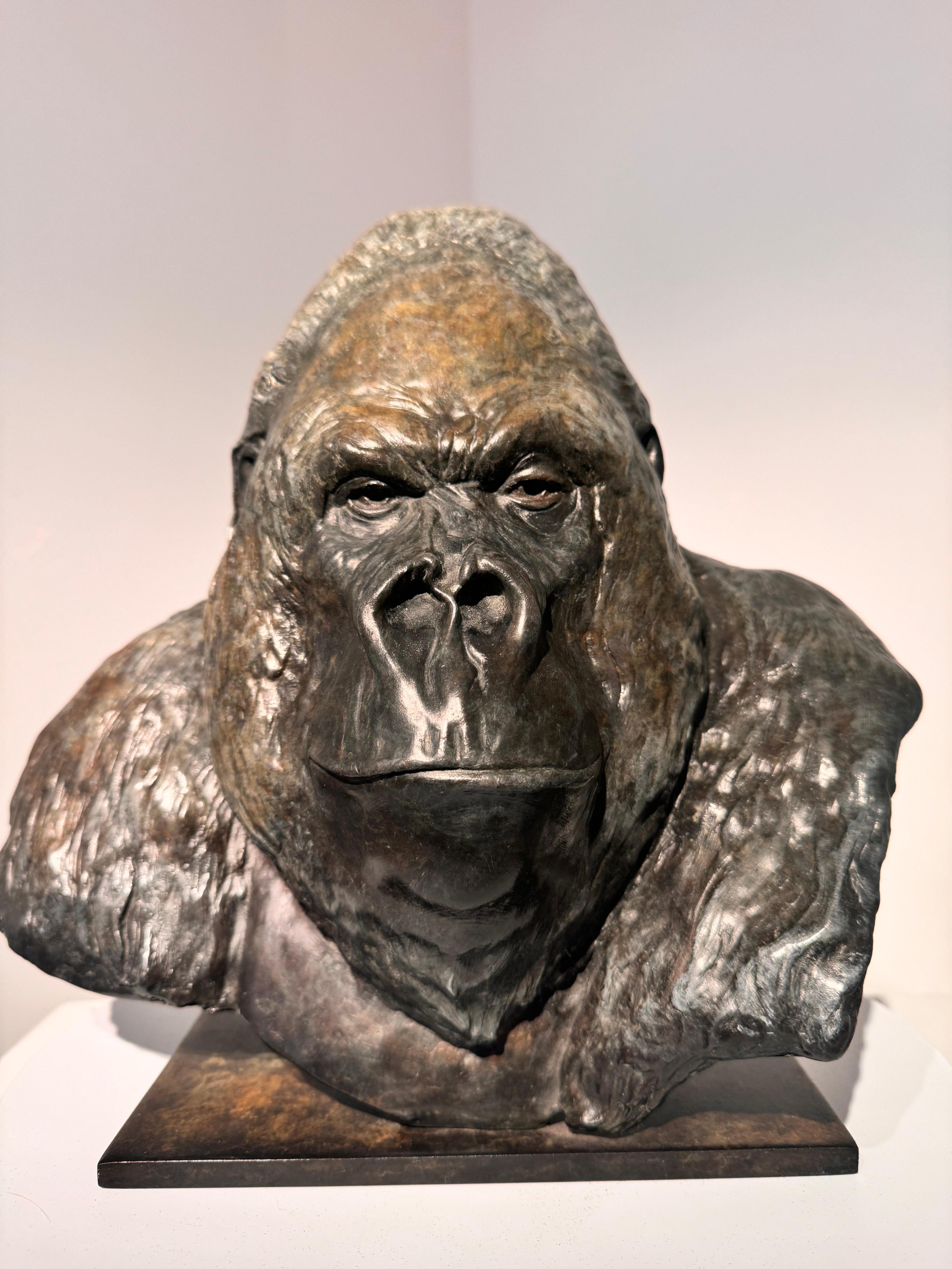 Zeitgenössische Gorilla-Skulptur aus Bronze Nico Jnr, Tier, Natur, Affe, schwarz im Angebot 3