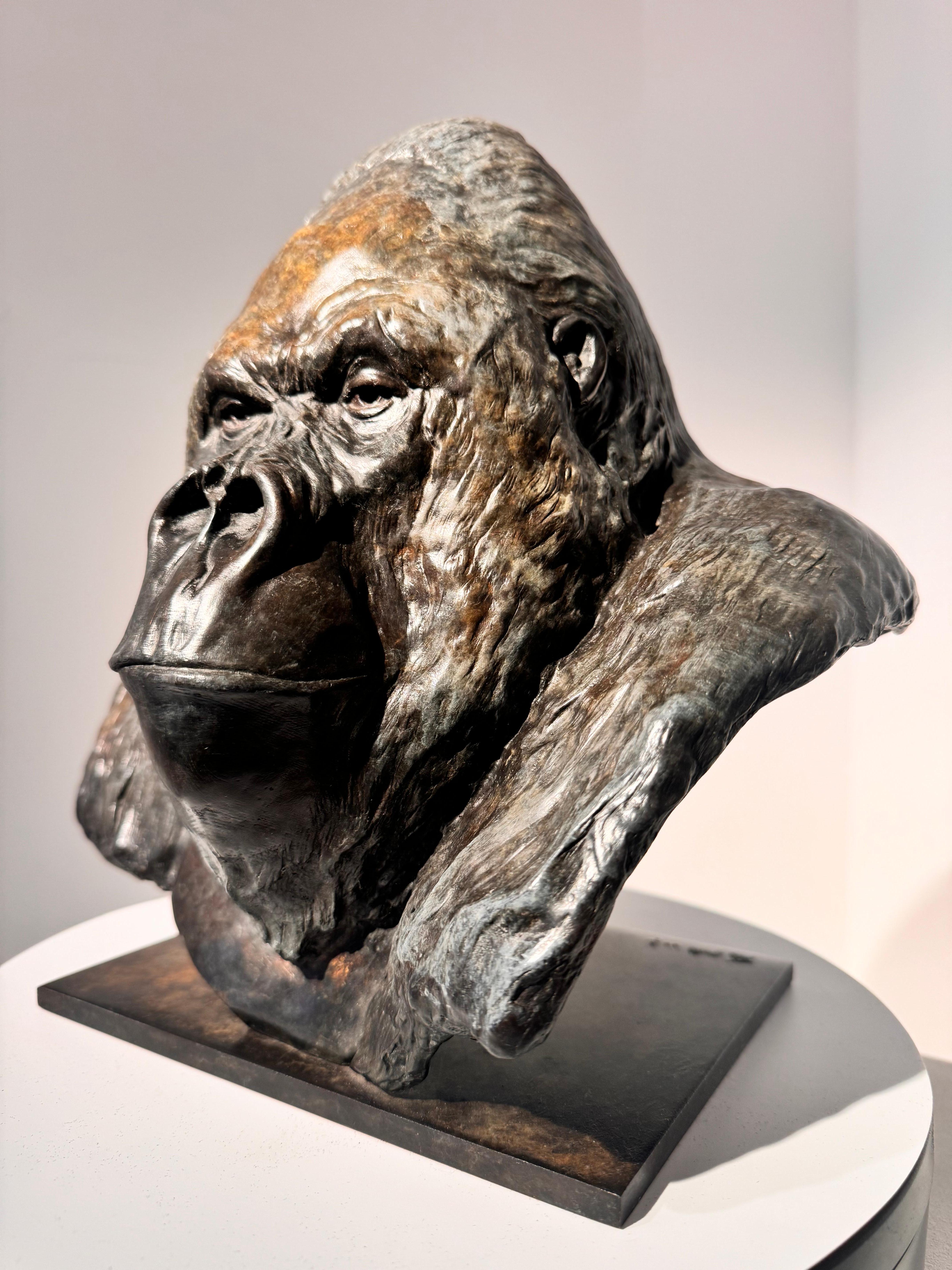 Zeitgenössische Gorilla-Skulptur aus Bronze Nico Jnr, Tier, Natur, Affe, schwarz im Angebot 4