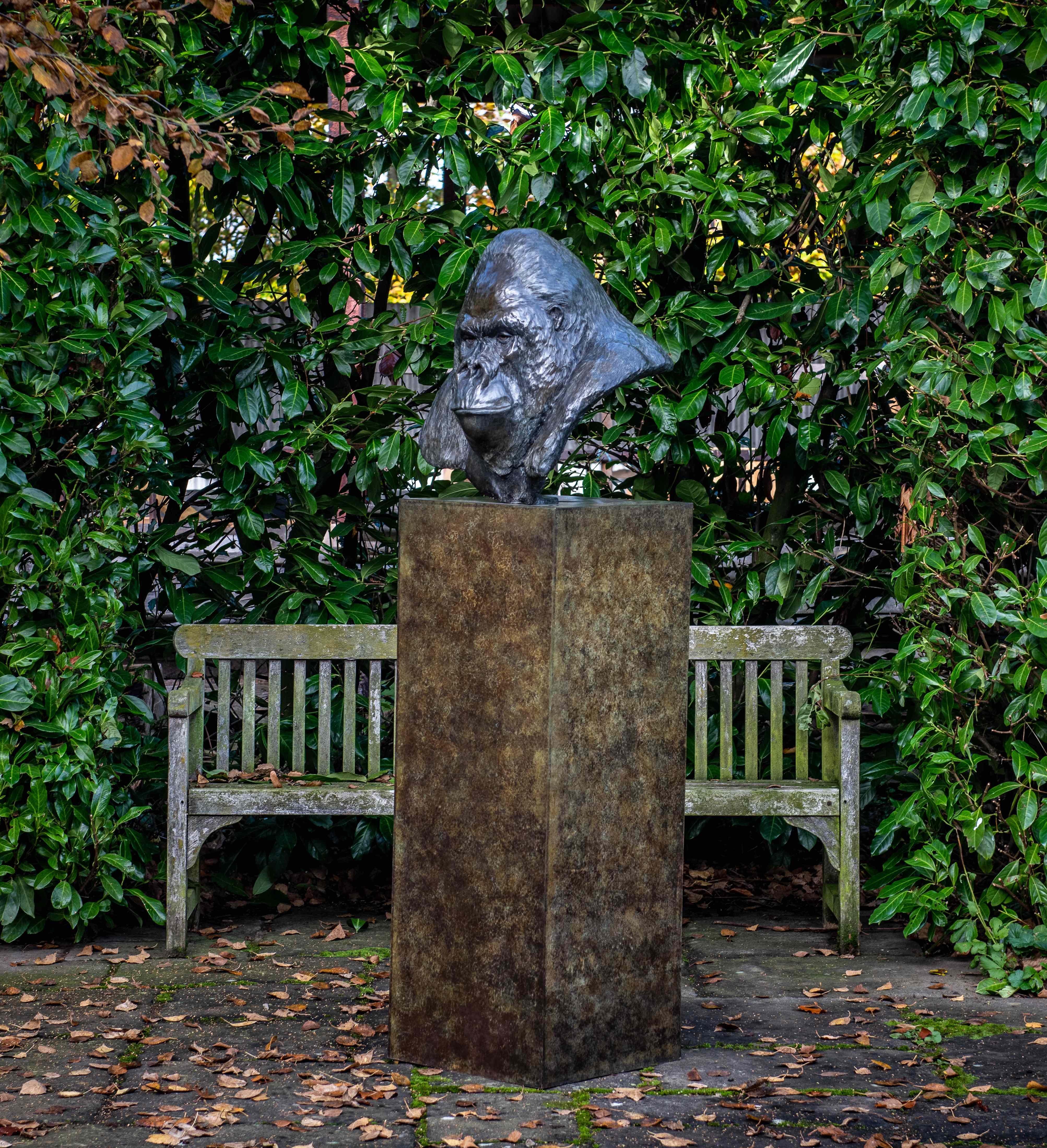 Contemporary Bronze Life Size Sculpture of a Gorilla 'Nico' by Tobias Martin  4