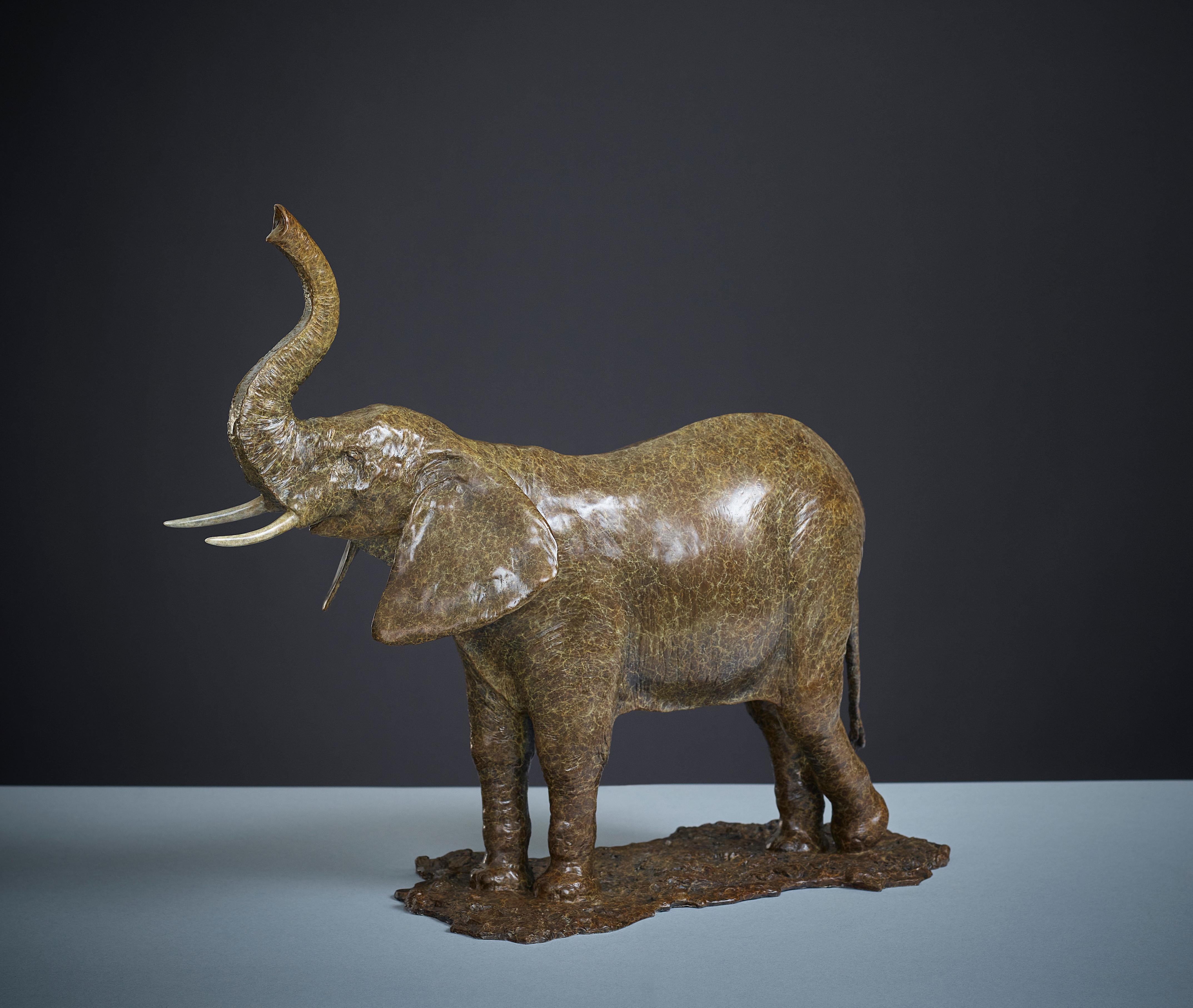 Zeitgenössische Bronze-Skulptur eines afrikanischen Elefanten & Baby, Safari, Wildtiere im Angebot 6