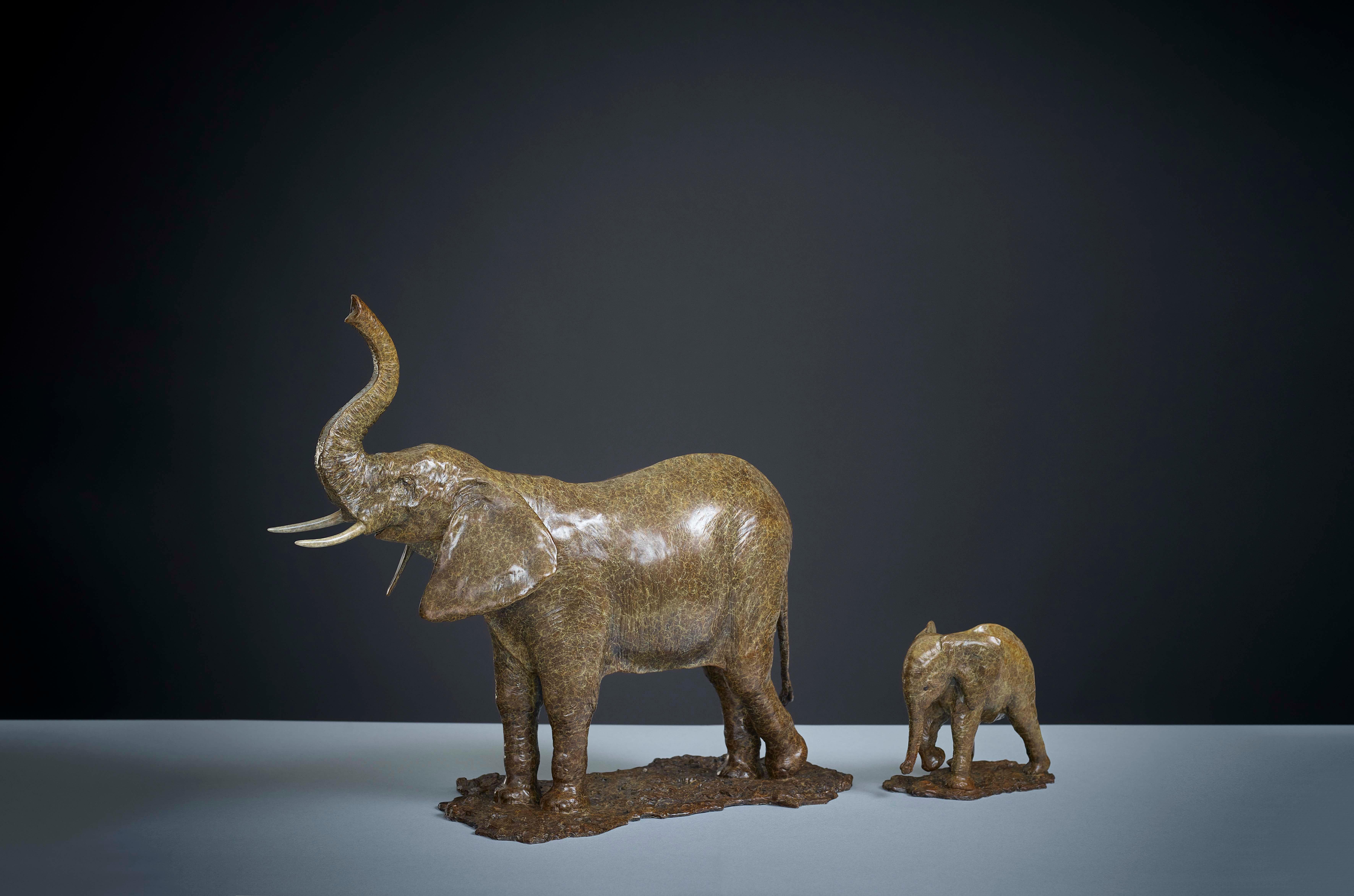 Auflage von 12
Elefant und Baby