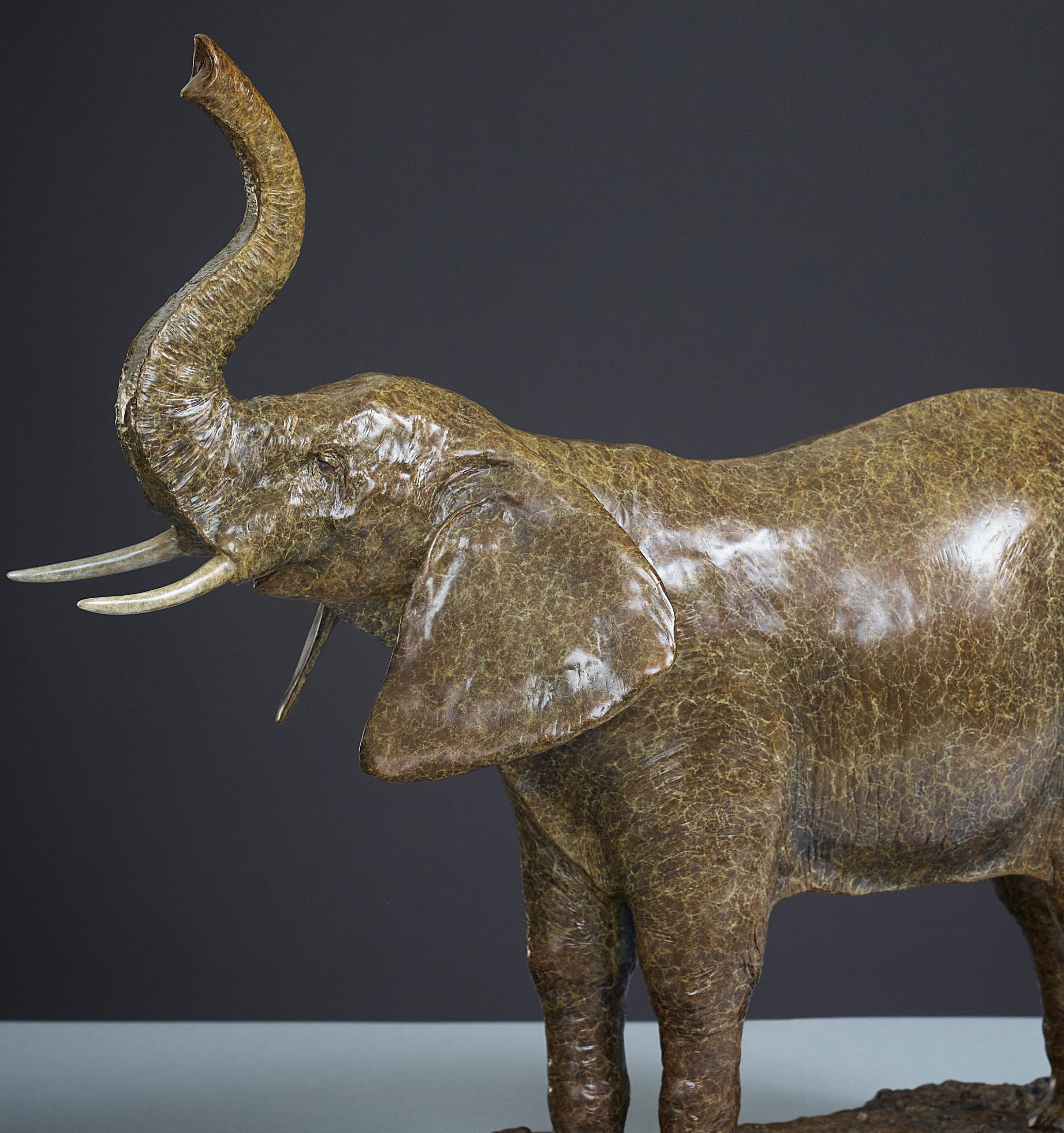 Zeitgenössische Bronze-Skulptur eines afrikanischen Elefanten & Baby, Safari, Wildtiere im Angebot 5