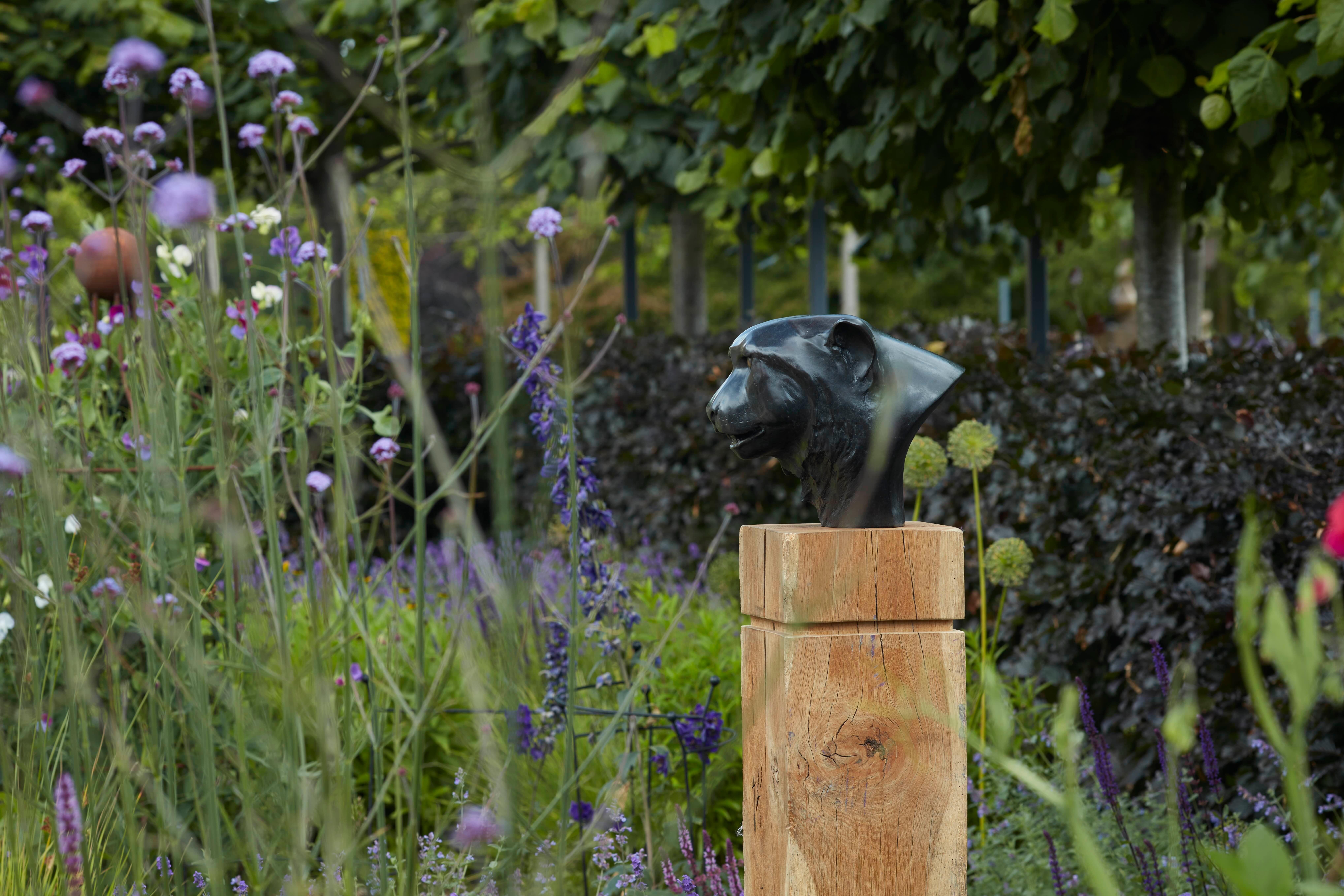 Scultura contemporanea in bronzo di una testa di Pantera Nera, un leopardo, un gatto, un'immagine impressionante - Sculpture Contemporaneo di Tobias Martin