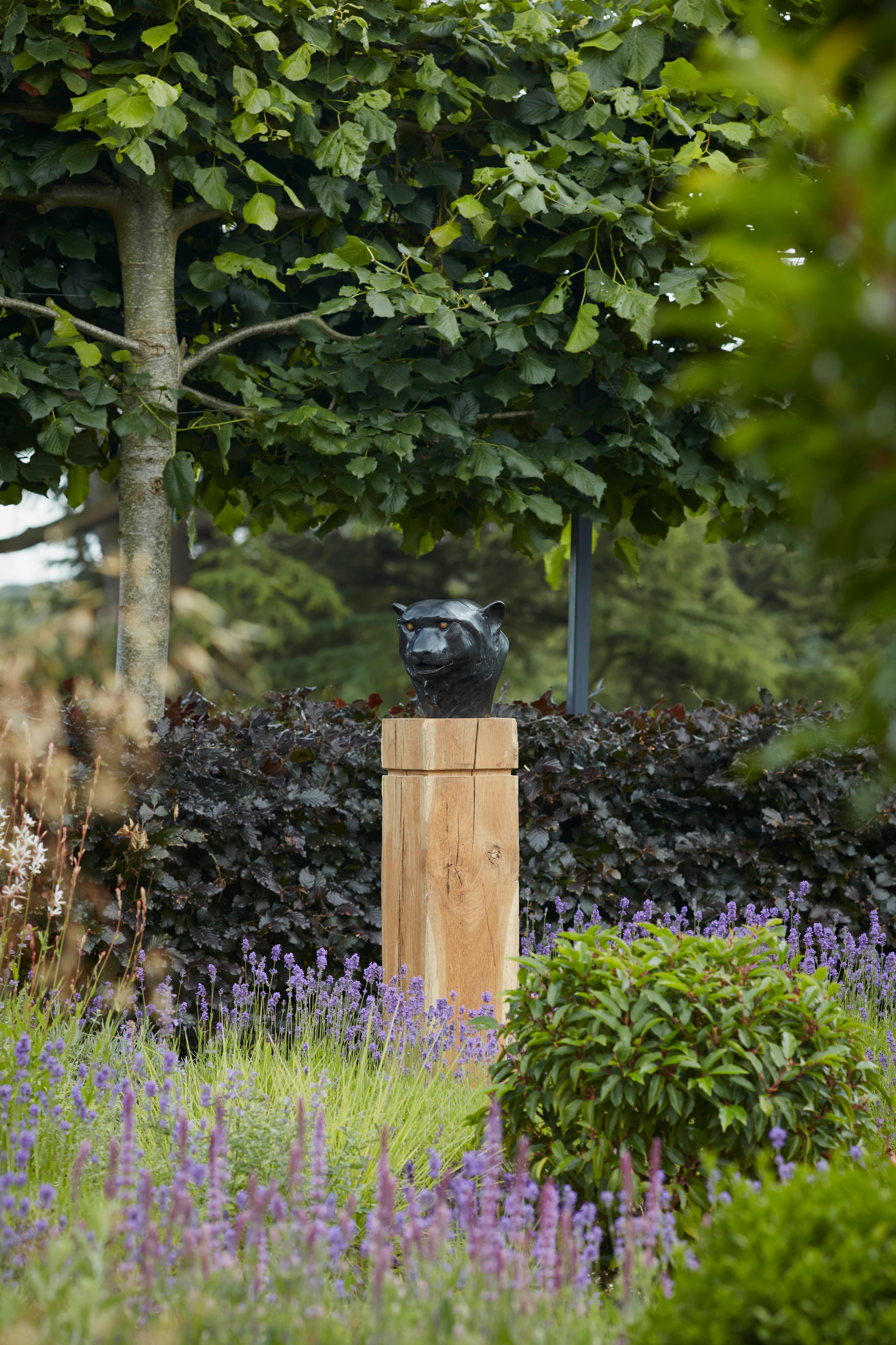 Scultura contemporanea in bronzo di una testa di Pantera Nera, un leopardo, un gatto, un'immagine impressionante - Still-Life Sculpture Nero di Tobias Martin