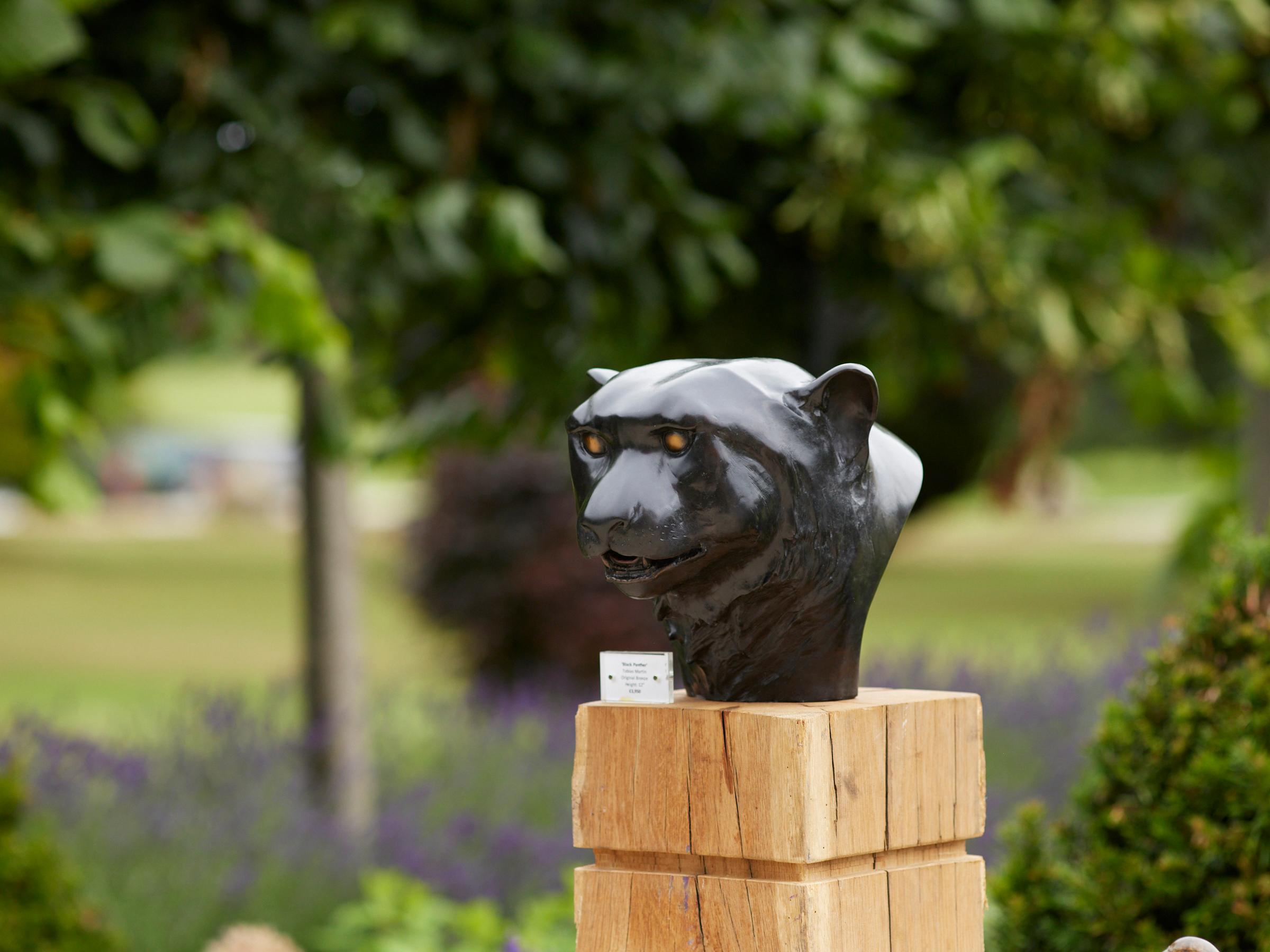 Edizione di 12
Black Panther di Tobias Martin, rifinito con una superficie liscia e tattile, emana forza ed eleganza. Lo scultore cattura con precisione i tratti possenti del felino, dalla mascella ampia e muscolosa agli occhi acuti e rivolti in