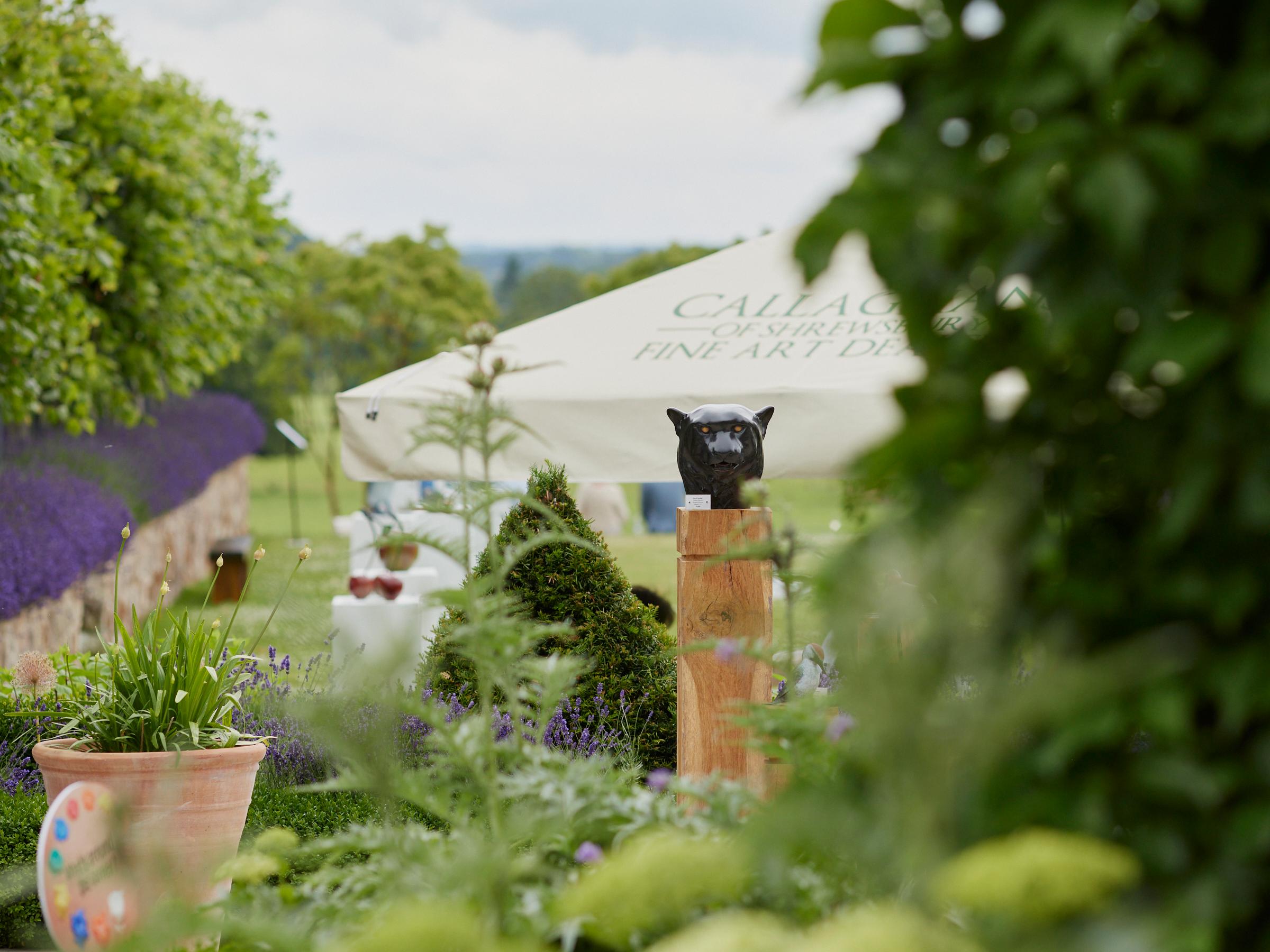 Scultura contemporanea in bronzo di una testa di Pantera Nera, un leopardo, un gatto, un'immagine impressionante in vendita 1