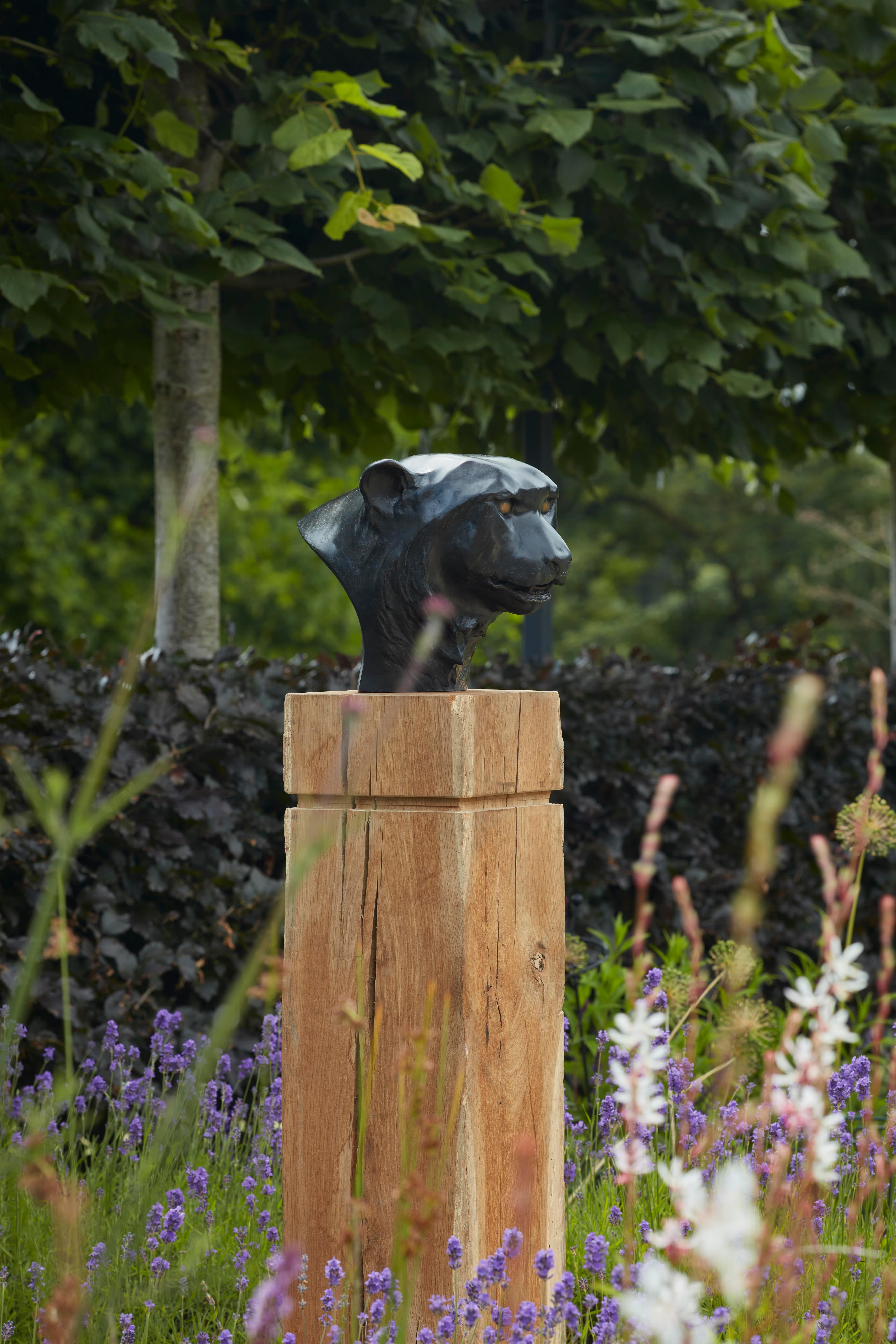 Scultura contemporanea in bronzo di una testa di Pantera Nera, un leopardo, un gatto, un'immagine impressionante in vendita 3