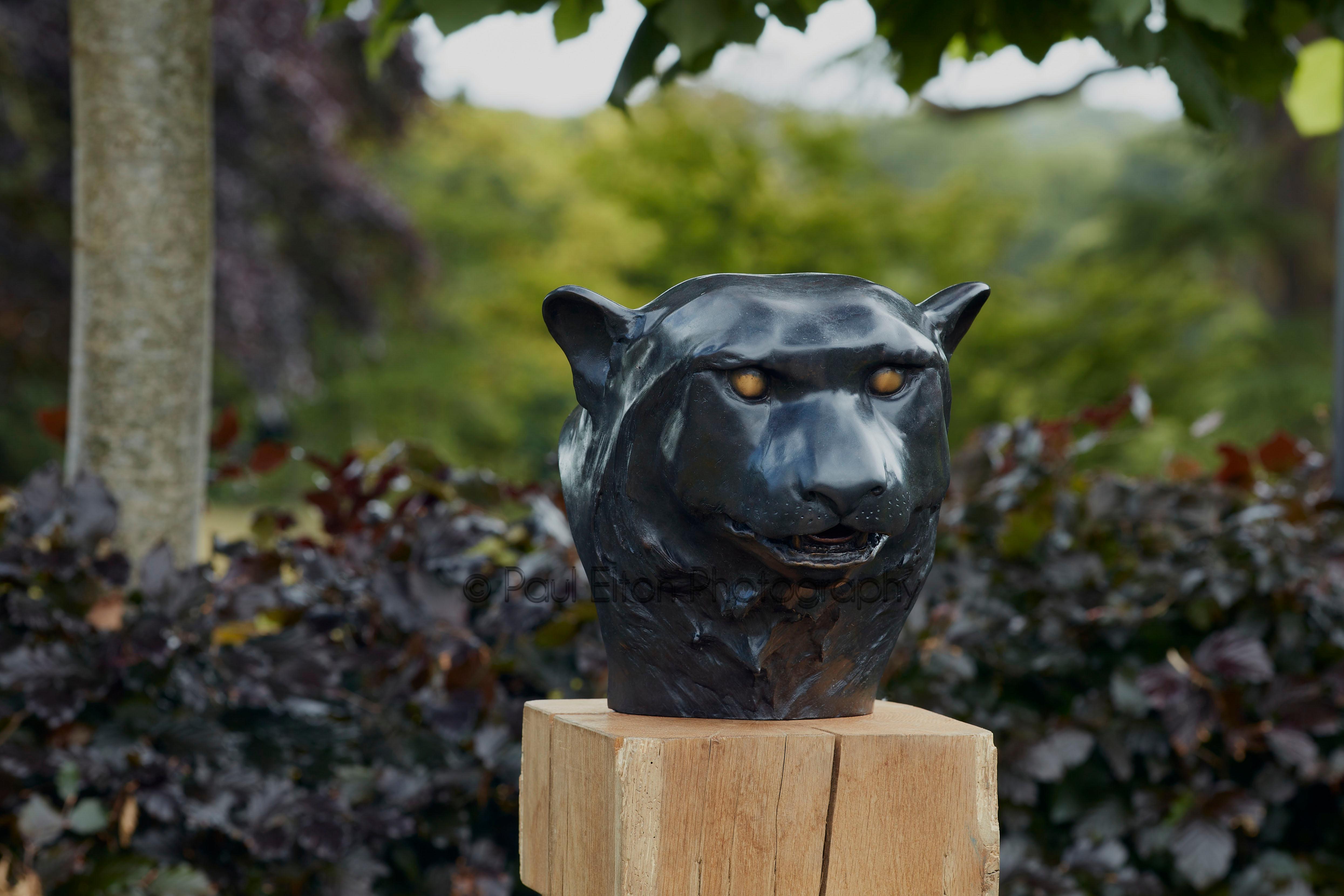 Contemporary Bronze sculpture of a Black Panther head, striking, leopard, cat