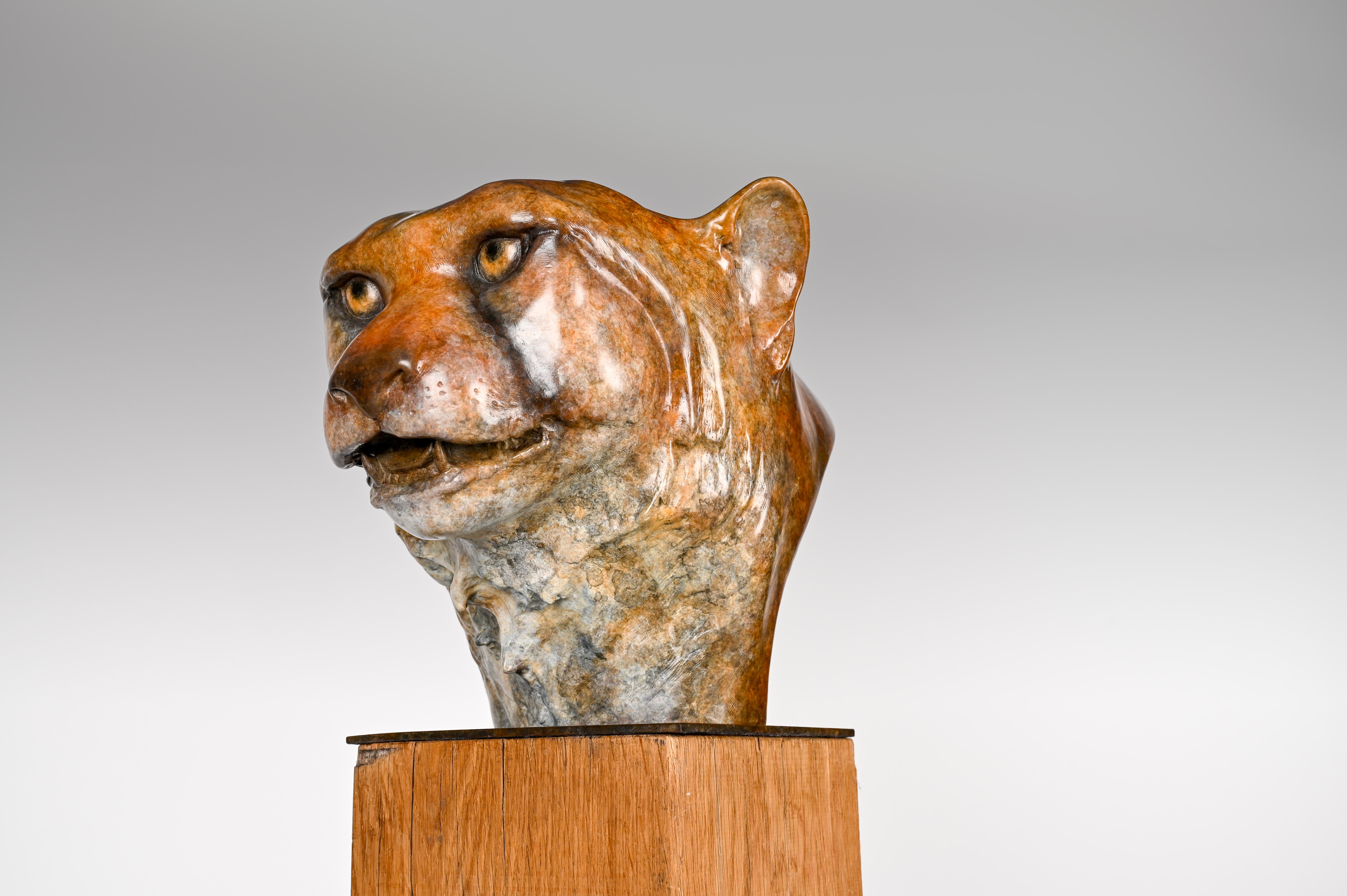 Contemporary Bronze Sculpture of a Cheetah Head, Wildlife, Native of Africa For Sale 9
