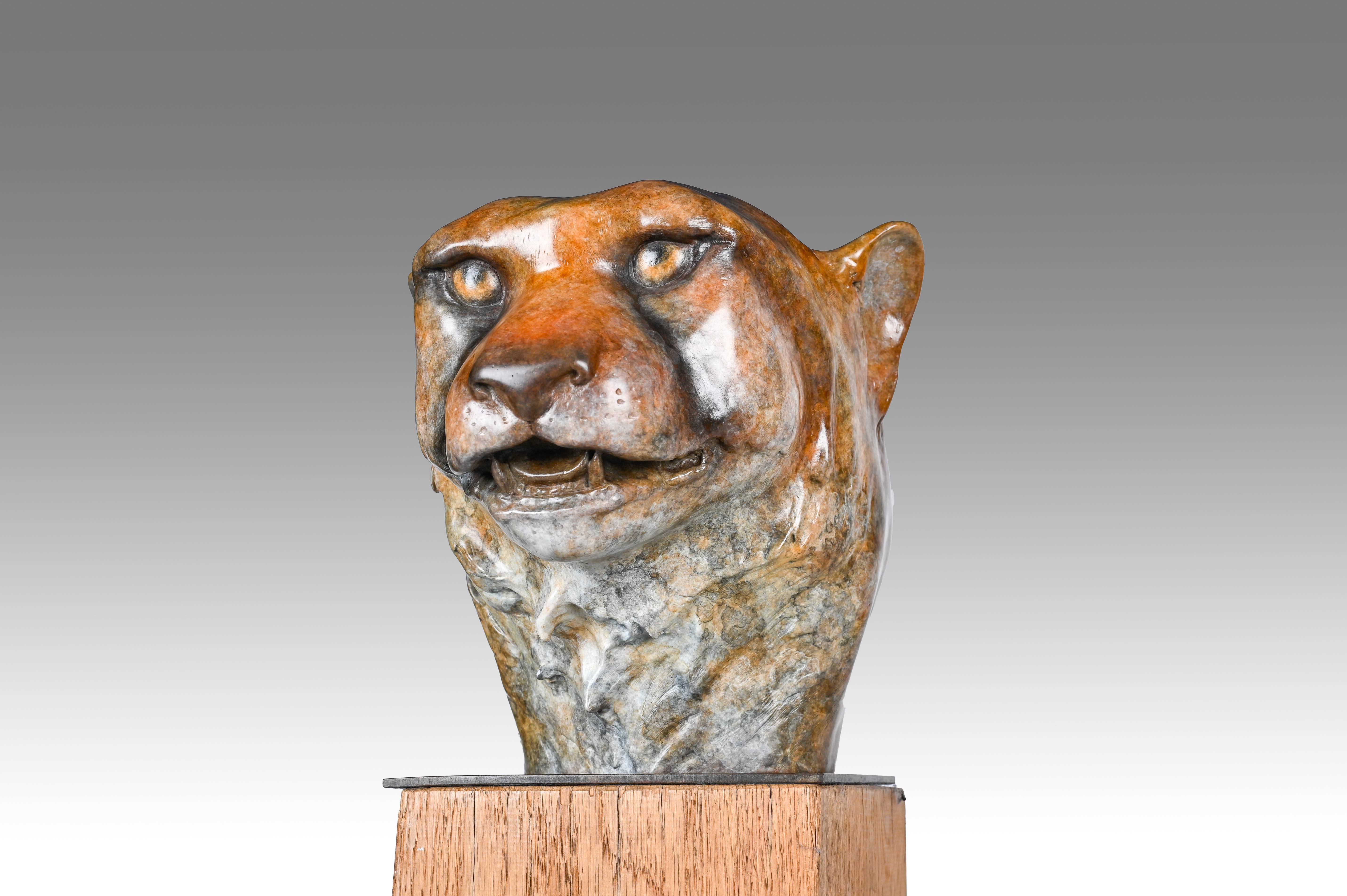 Contemporary Bronze Sculpture of a Cheetah Head, Wildlife, Native of Africa For Sale 10