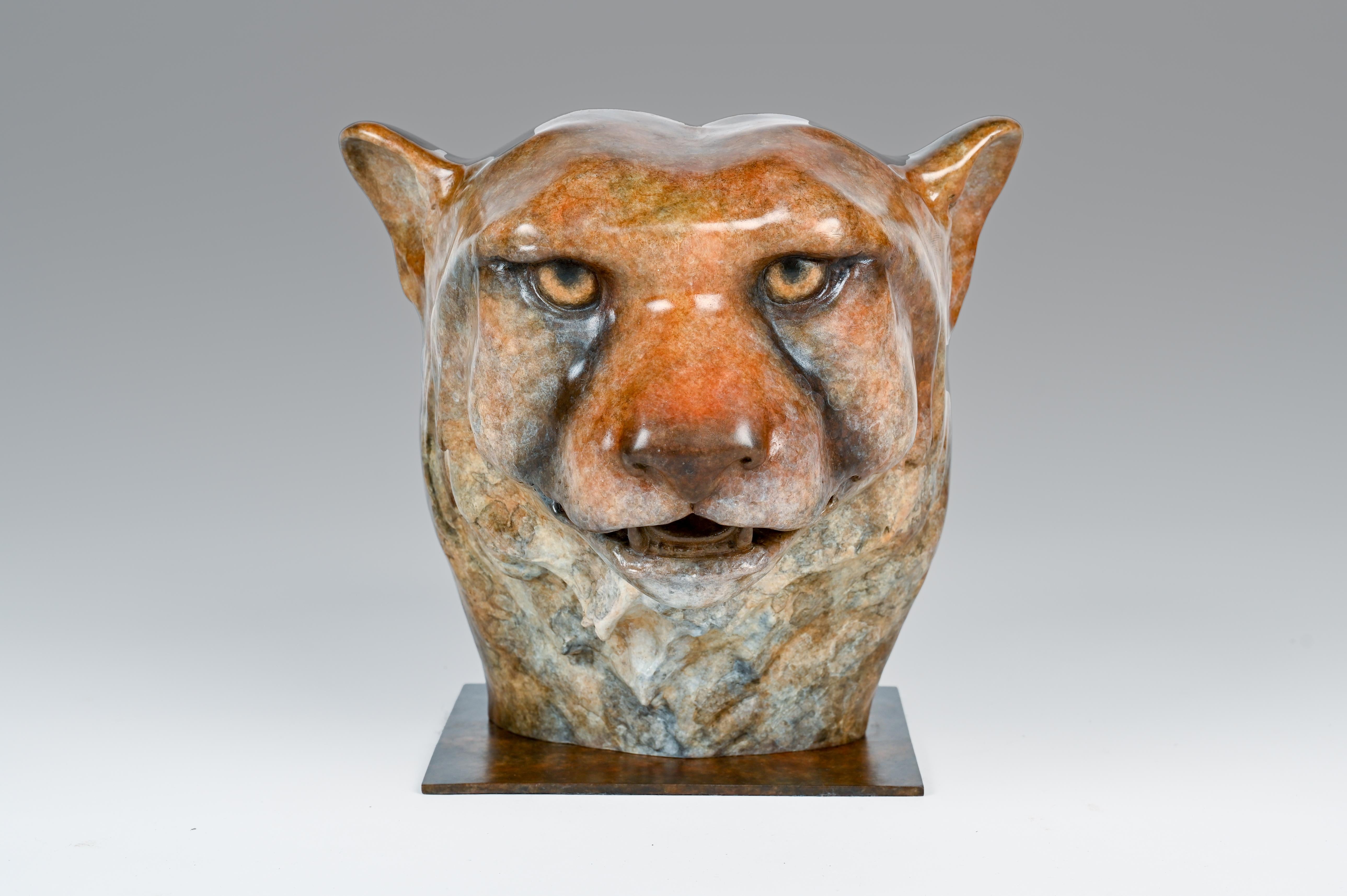 Contemporary Bronze Sculpture of a Cheetah Head, Wildlife, Native of Africa For Sale 1