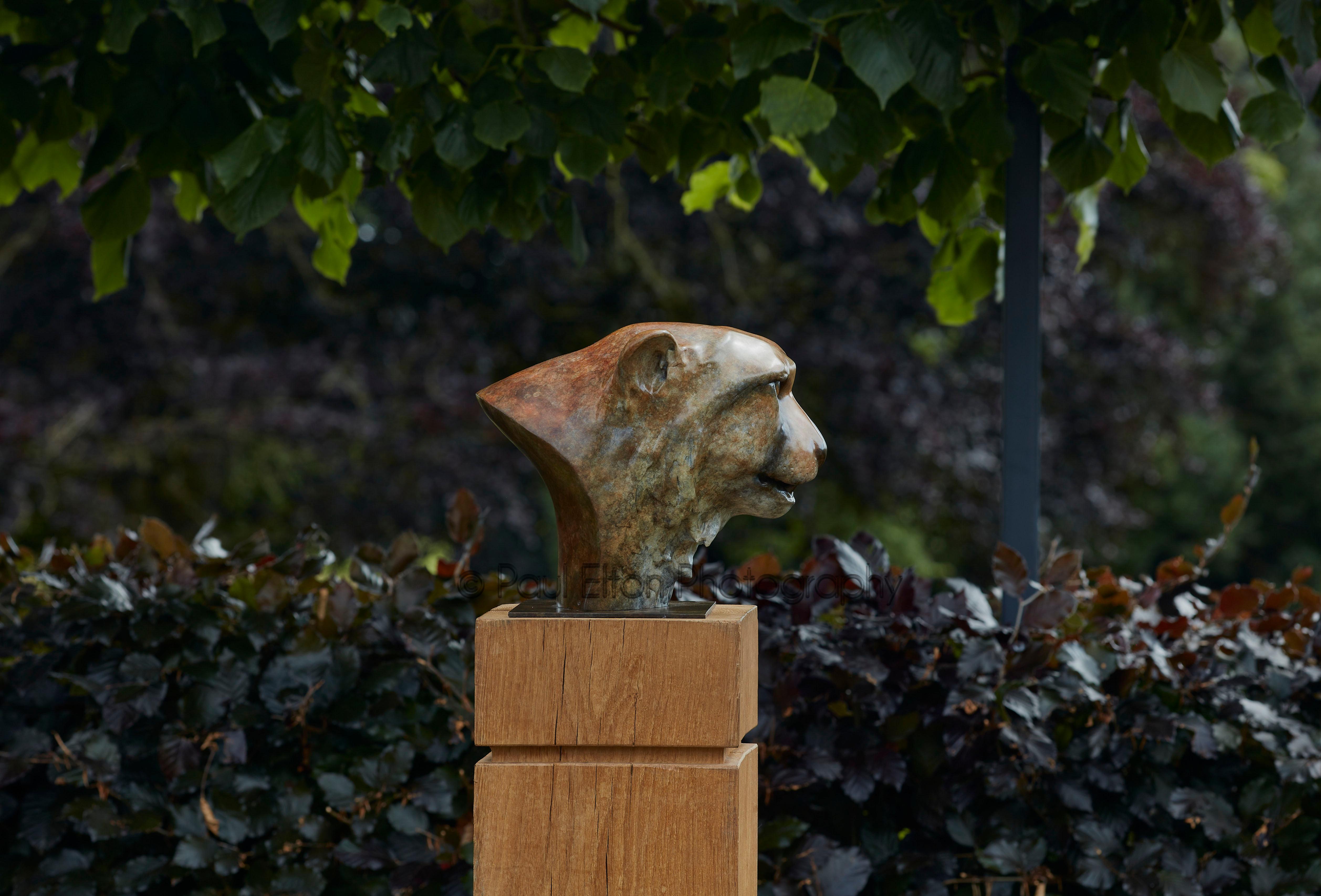 Contemporary Bronze Sculpture of a Cheetah Head, Wildlife, Native of Africa For Sale 4