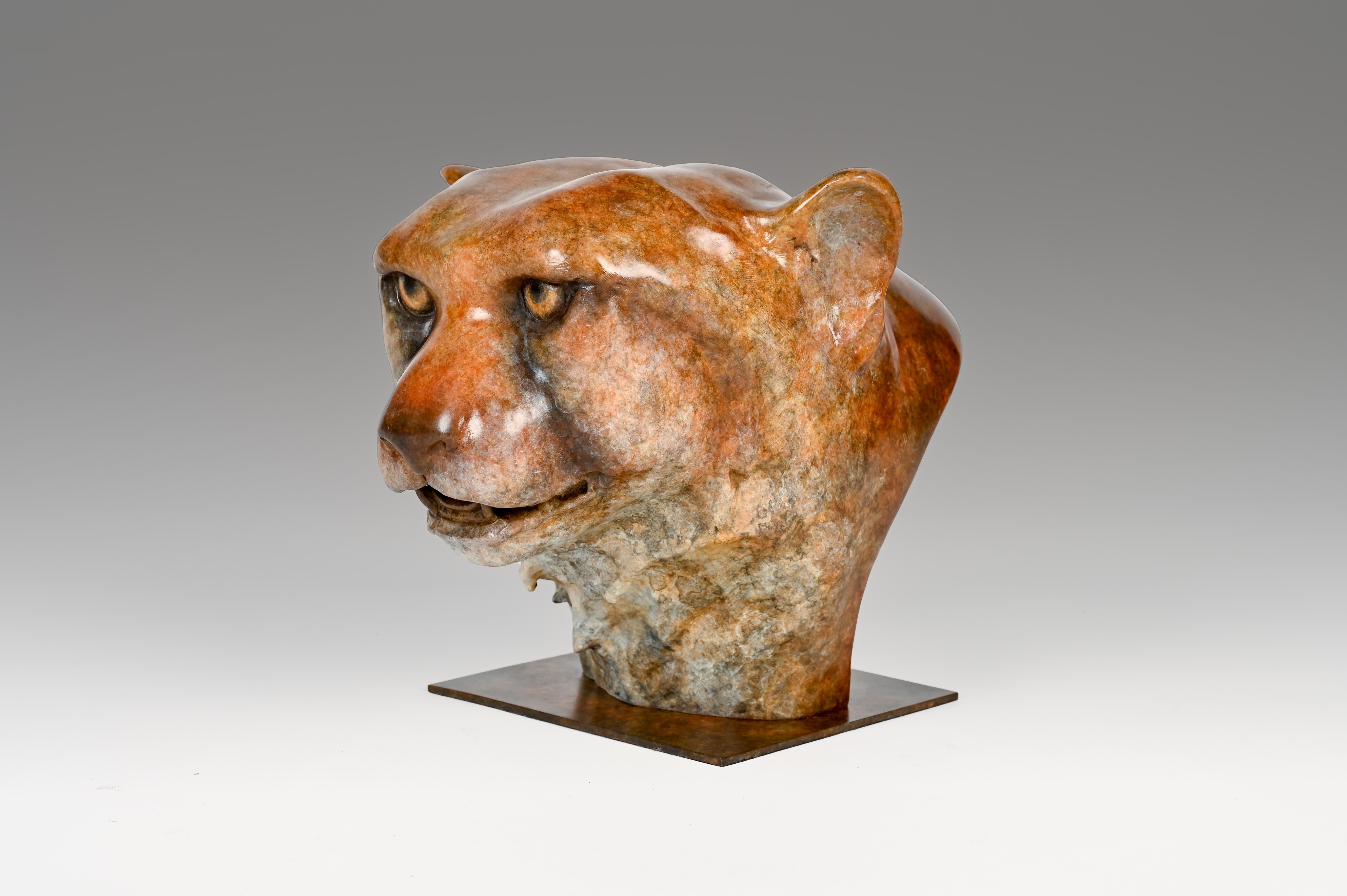 Contemporary Bronze Sculpture of a Cheetah Head, Wildlife, Native of Africa For Sale 5