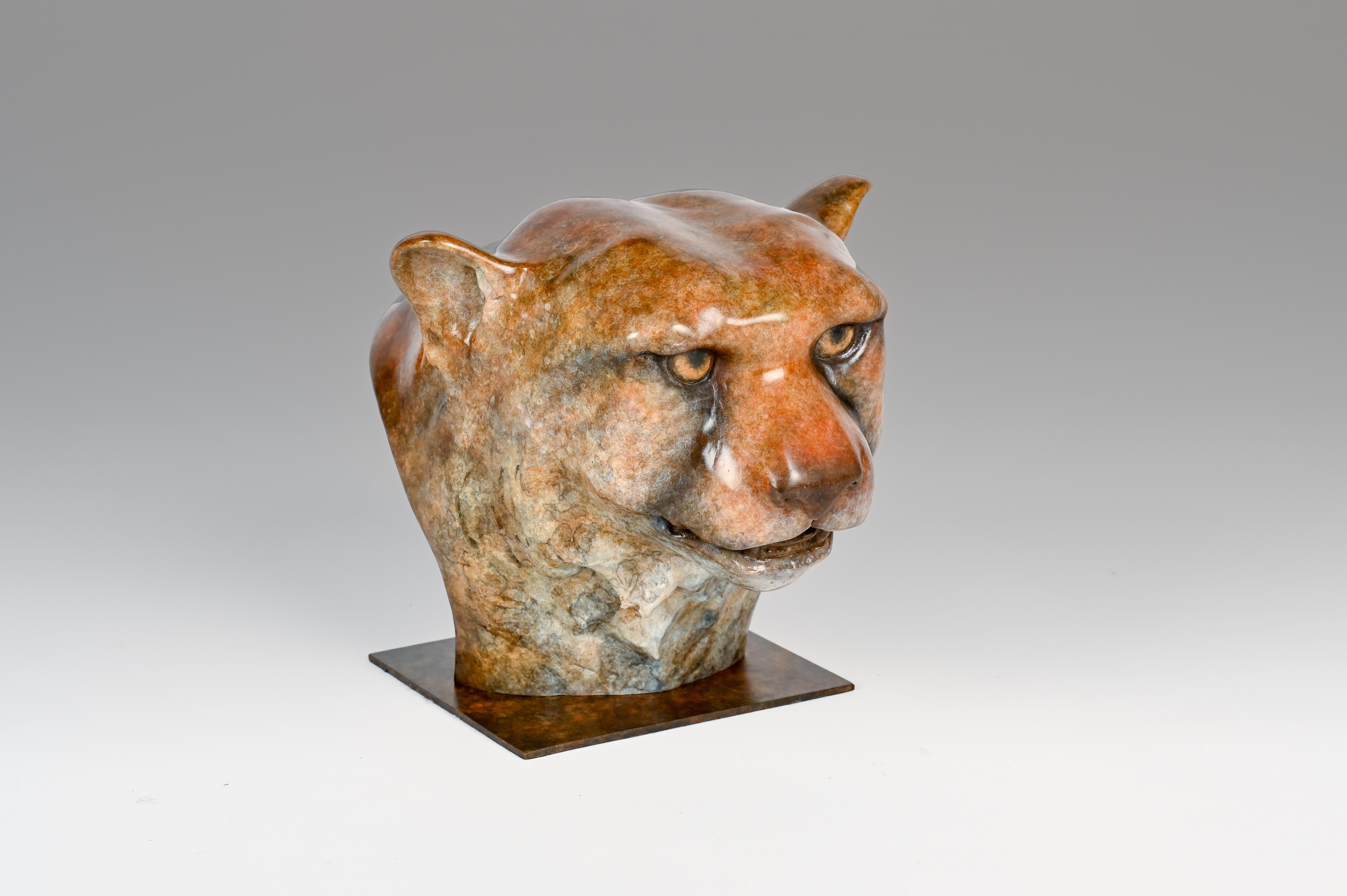 Contemporary Bronze Sculpture of a Cheetah Head, Wildlife, Native of Africa For Sale 6