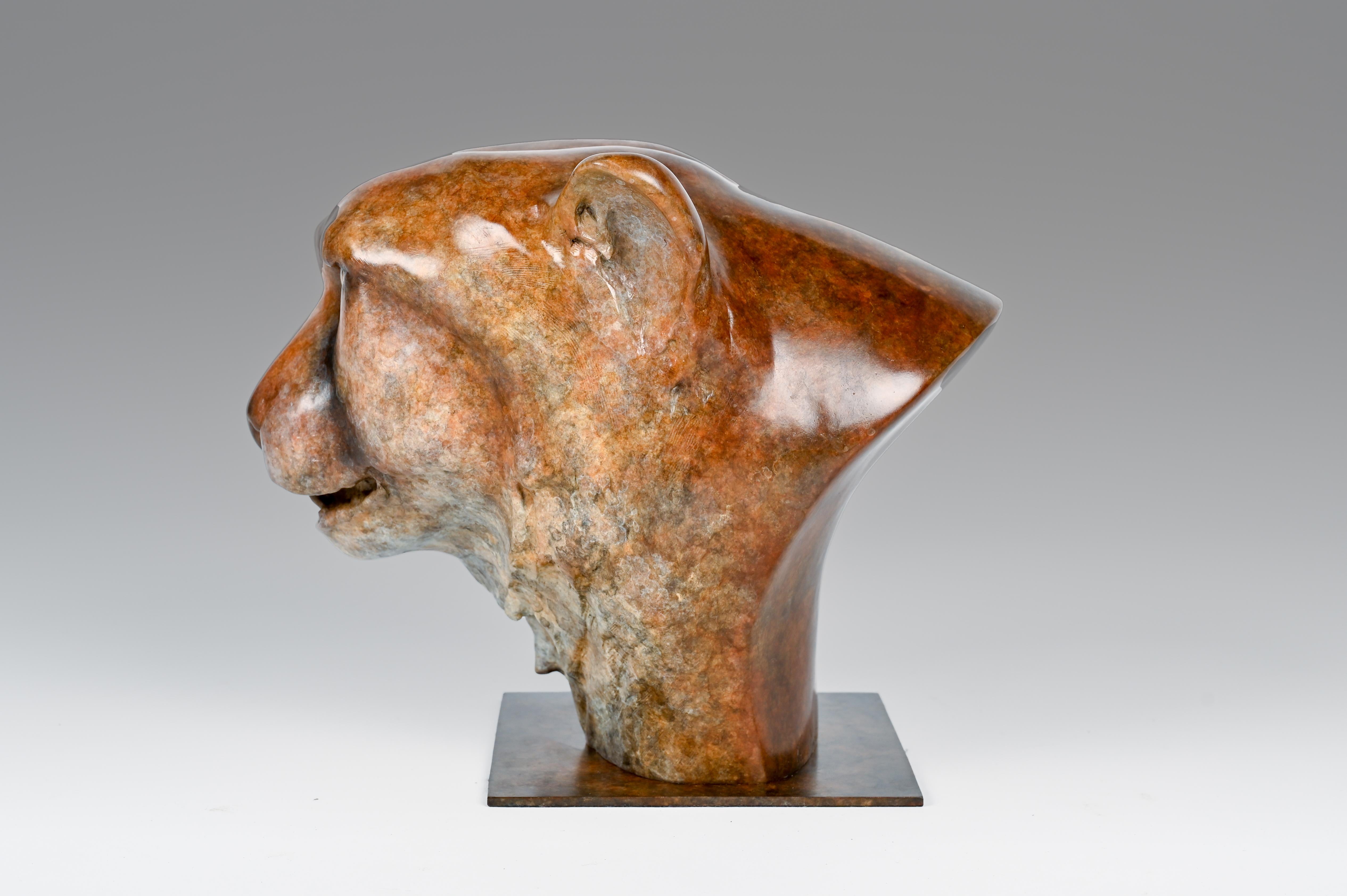 Contemporary Bronze Sculpture of a Cheetah Head, Wildlife, Native of Africa For Sale 7