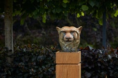 Contemporary Bronze Sculpture of a Cheetah Head, Wildlife, Native of Africa