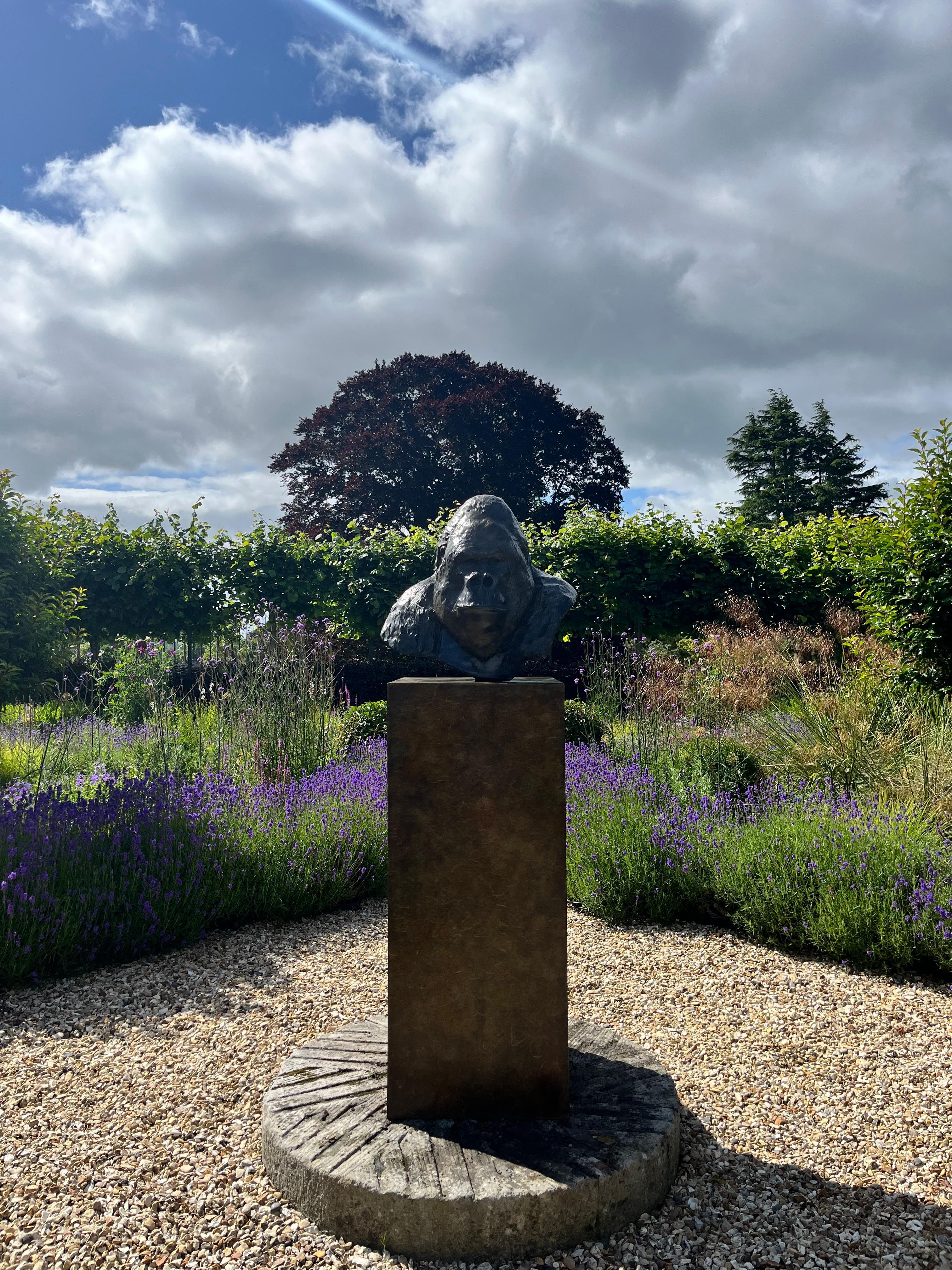 Zeitgenössische Bronzeskulptur eines Gorillas, 'Nico', im Freien, Tierwelt, Tier im Angebot 6