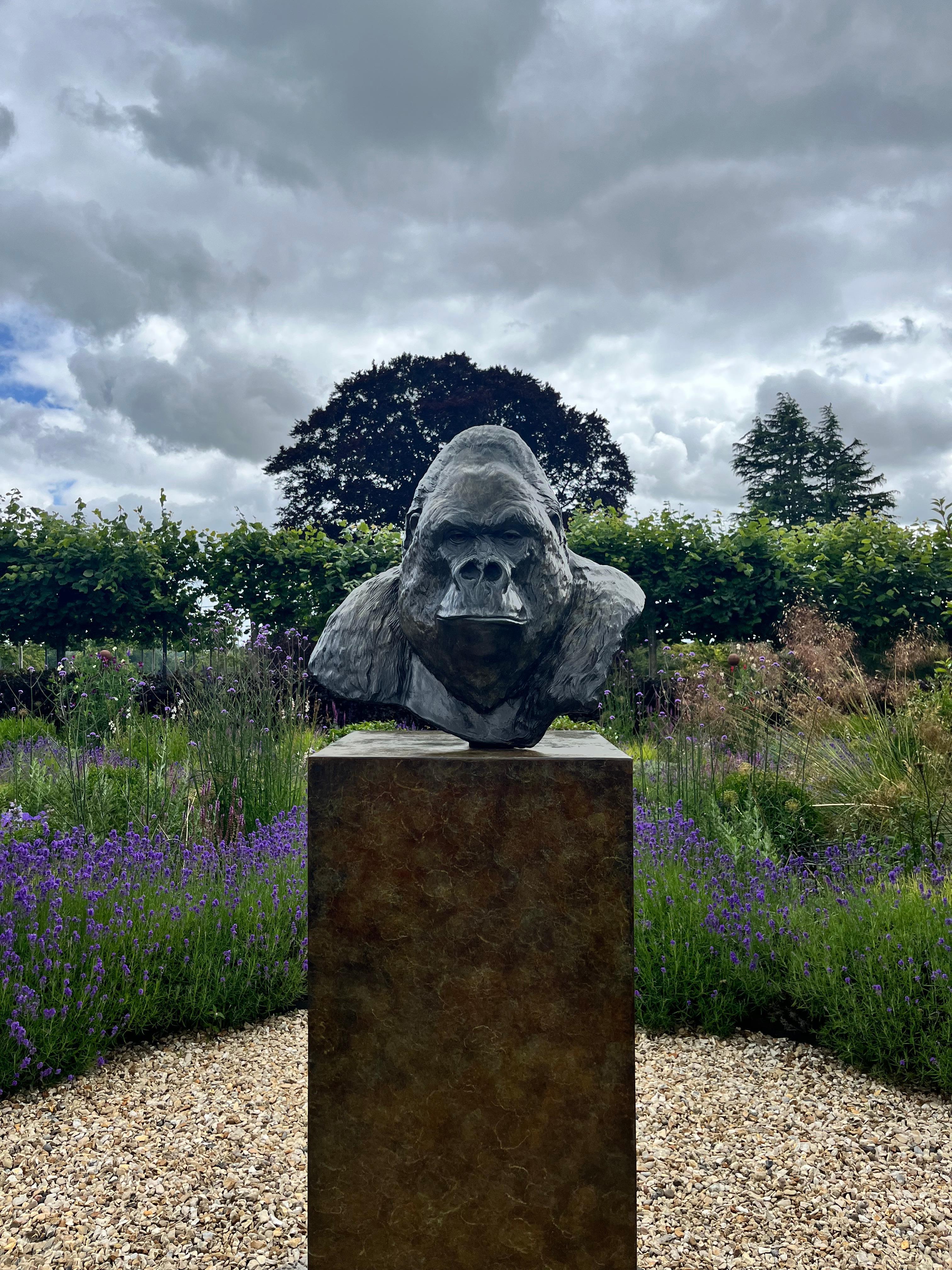 Zeitgenössische Bronzeskulptur eines Gorillas, 'Nico', im Freien, Tierwelt, Tier im Angebot 7