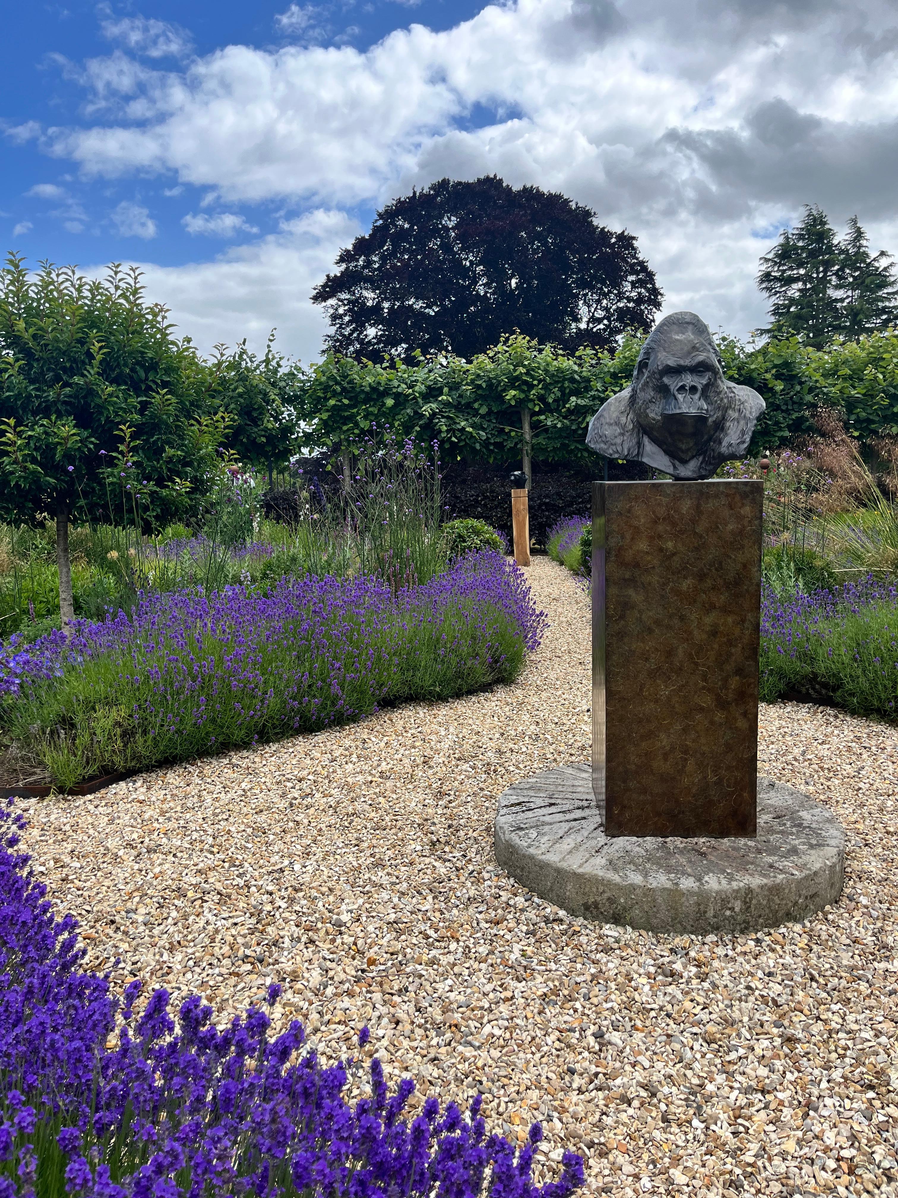 Zeitgenössische Bronzeskulptur eines Gorillas, 'Nico', im Freien, Tierwelt, Tier im Angebot 8